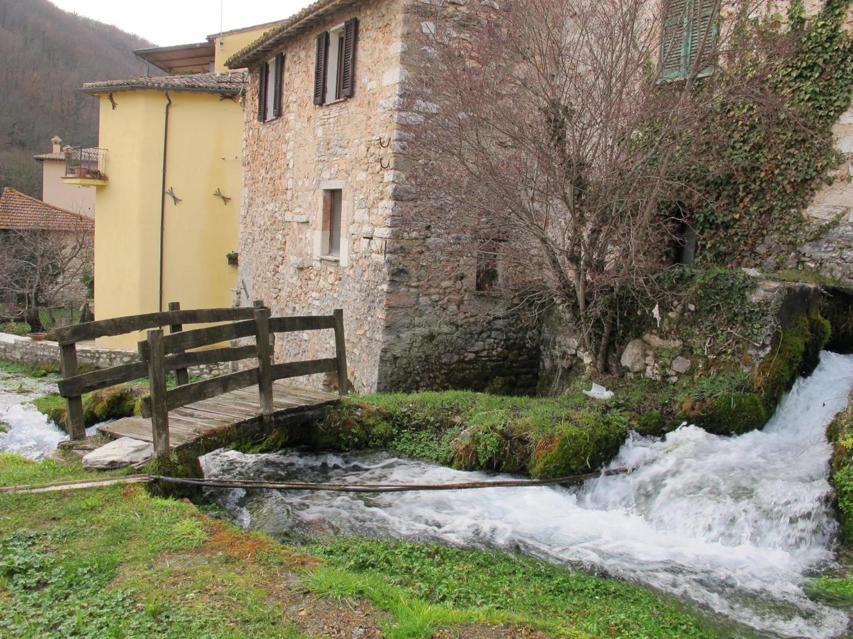 Photo 22
