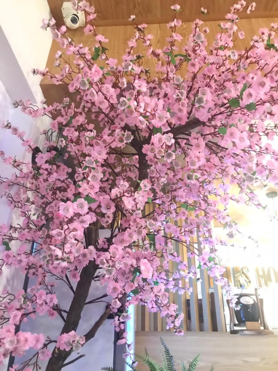 Louis Hotel - Bui Vien Walking Street
