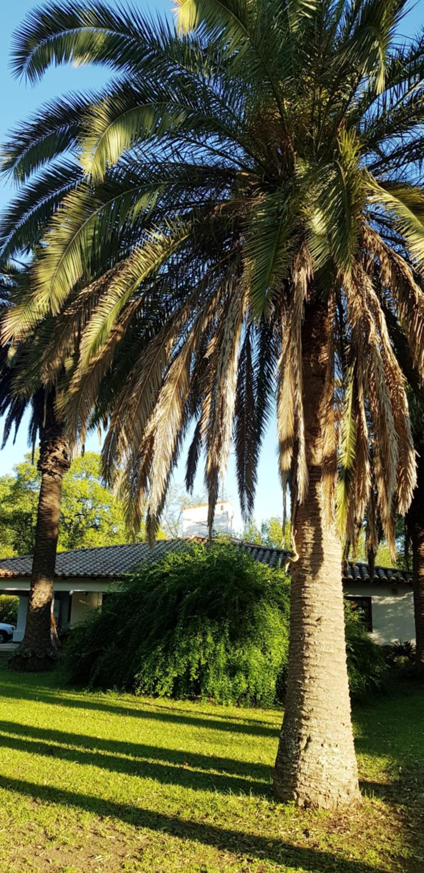 Posada El Prado