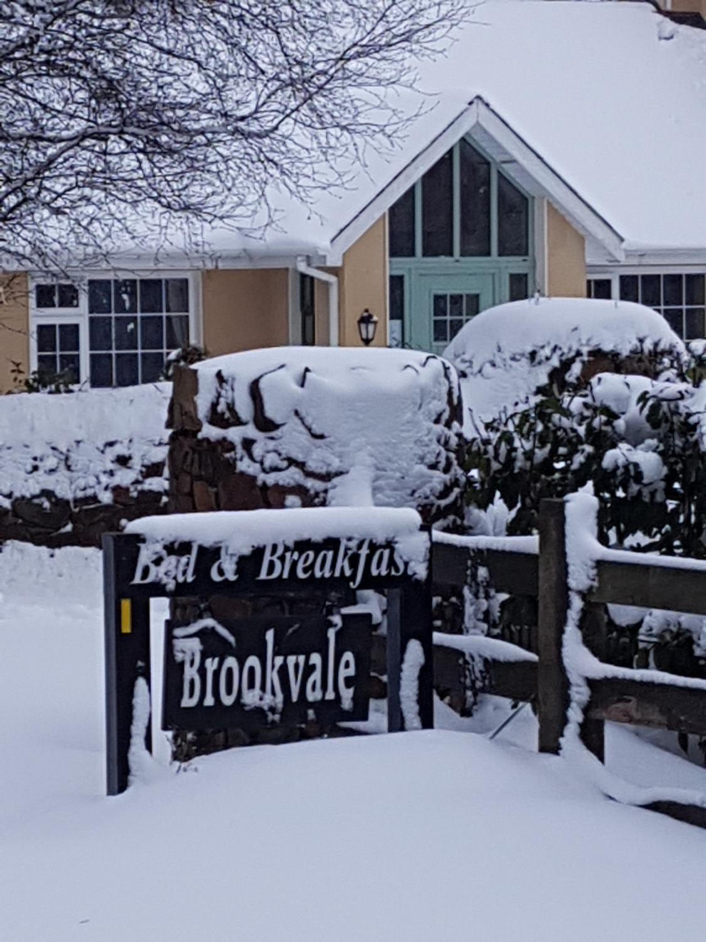 Brookvale