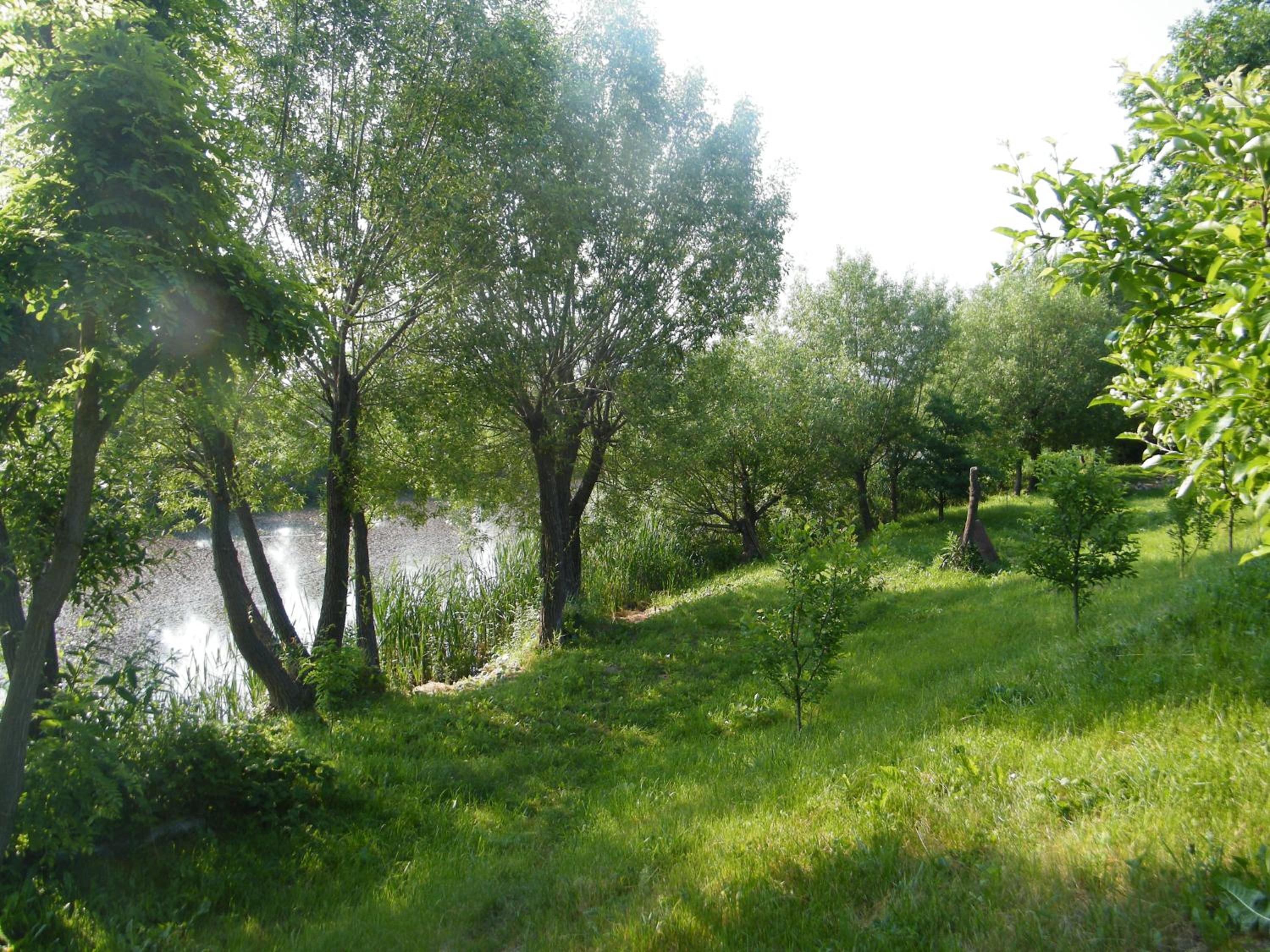Albinuta Guesthouse view 4