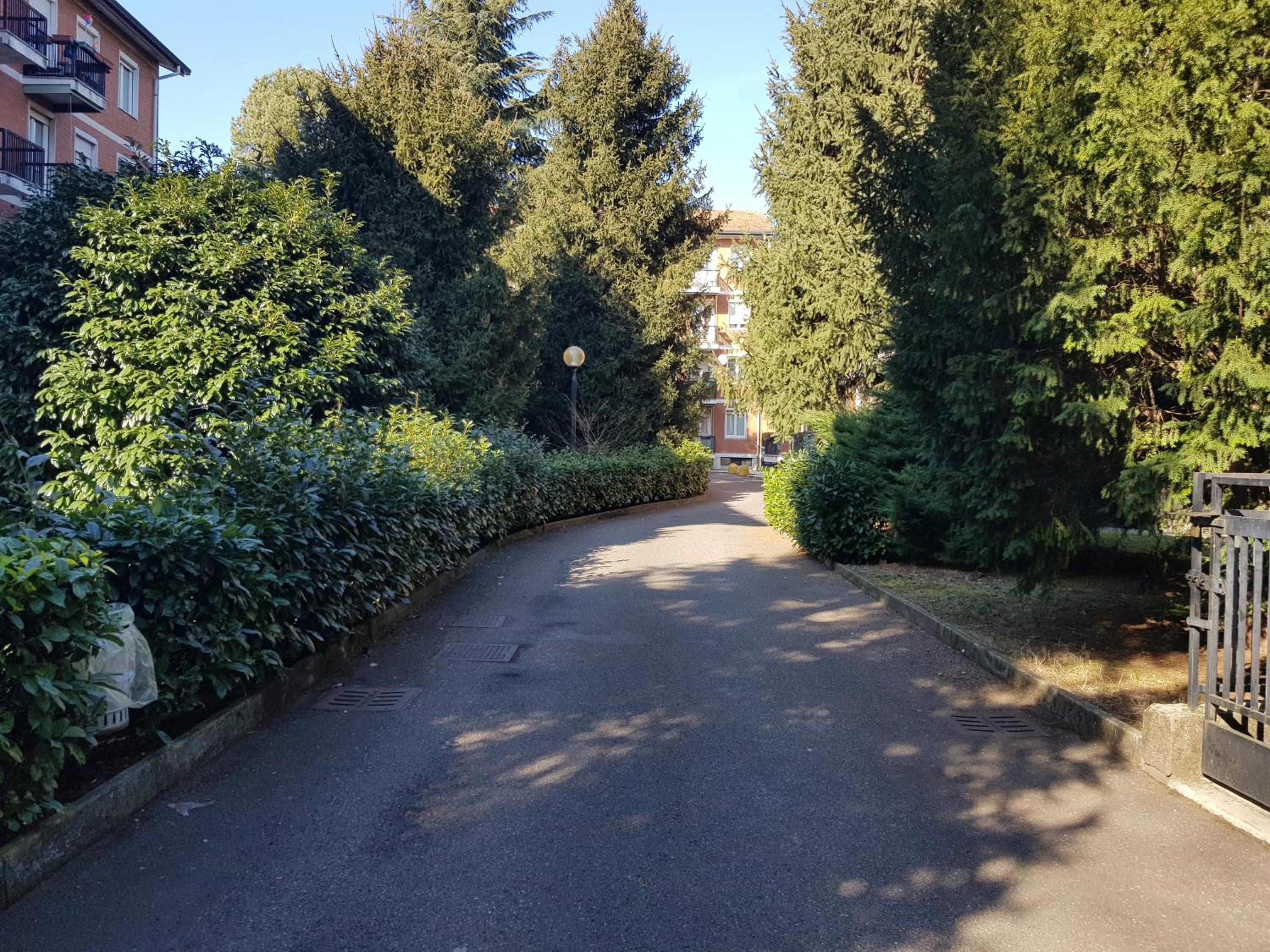 Photo 33
