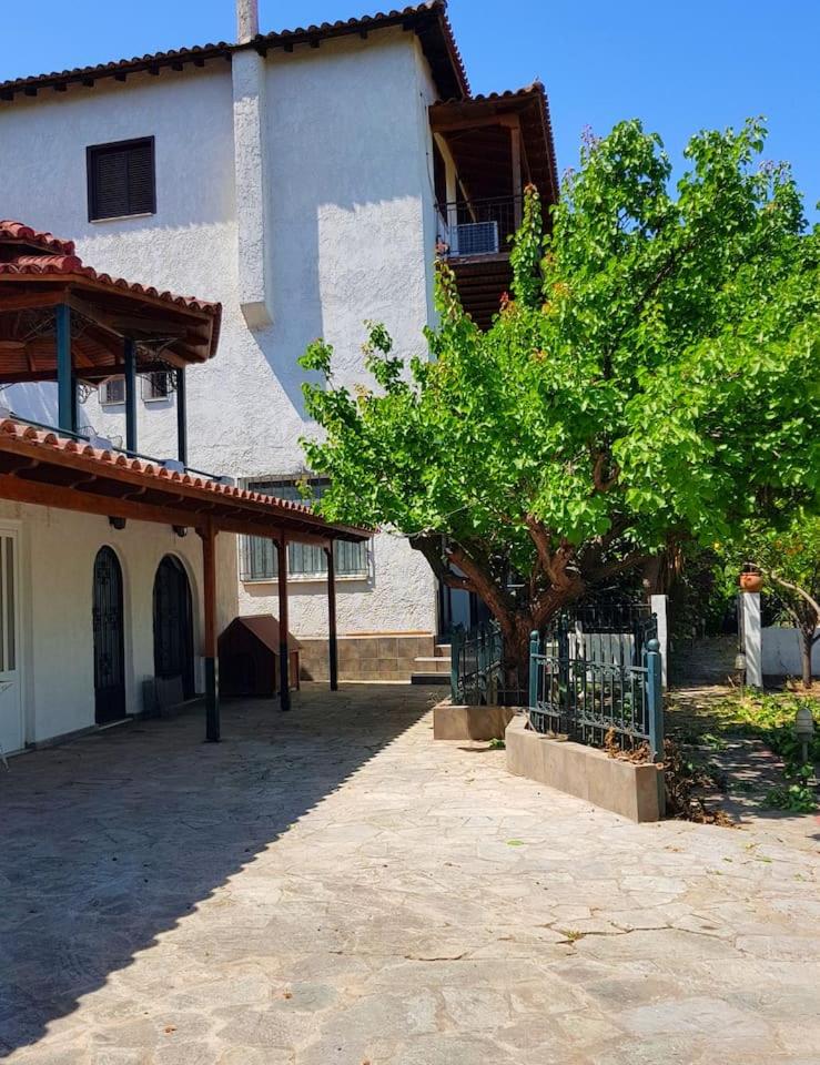 Ancient Olympia Luxury Pool Villa Palace 4Bedroom, photo 29