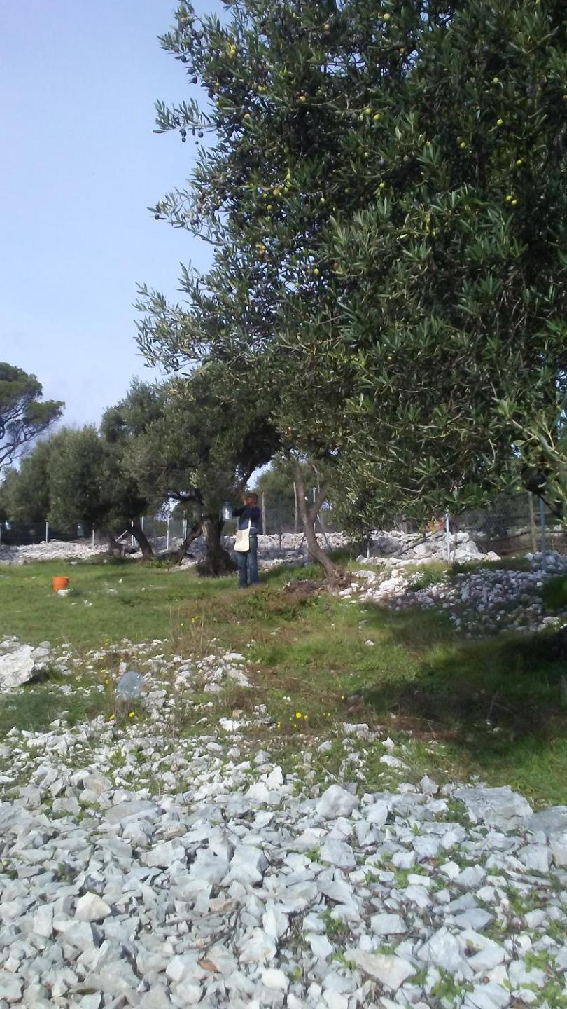 Photo 48