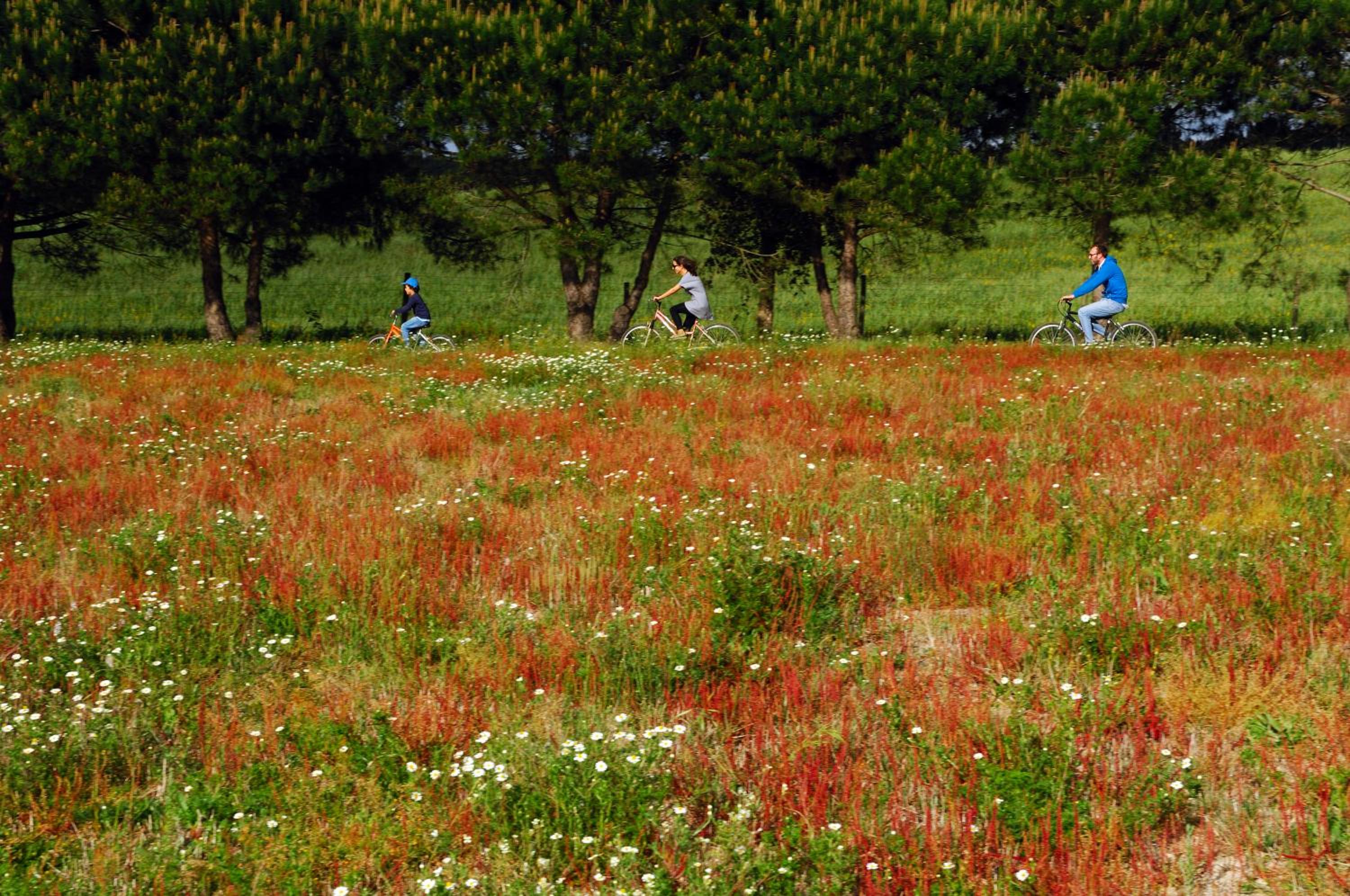 Monte Da Galrixa