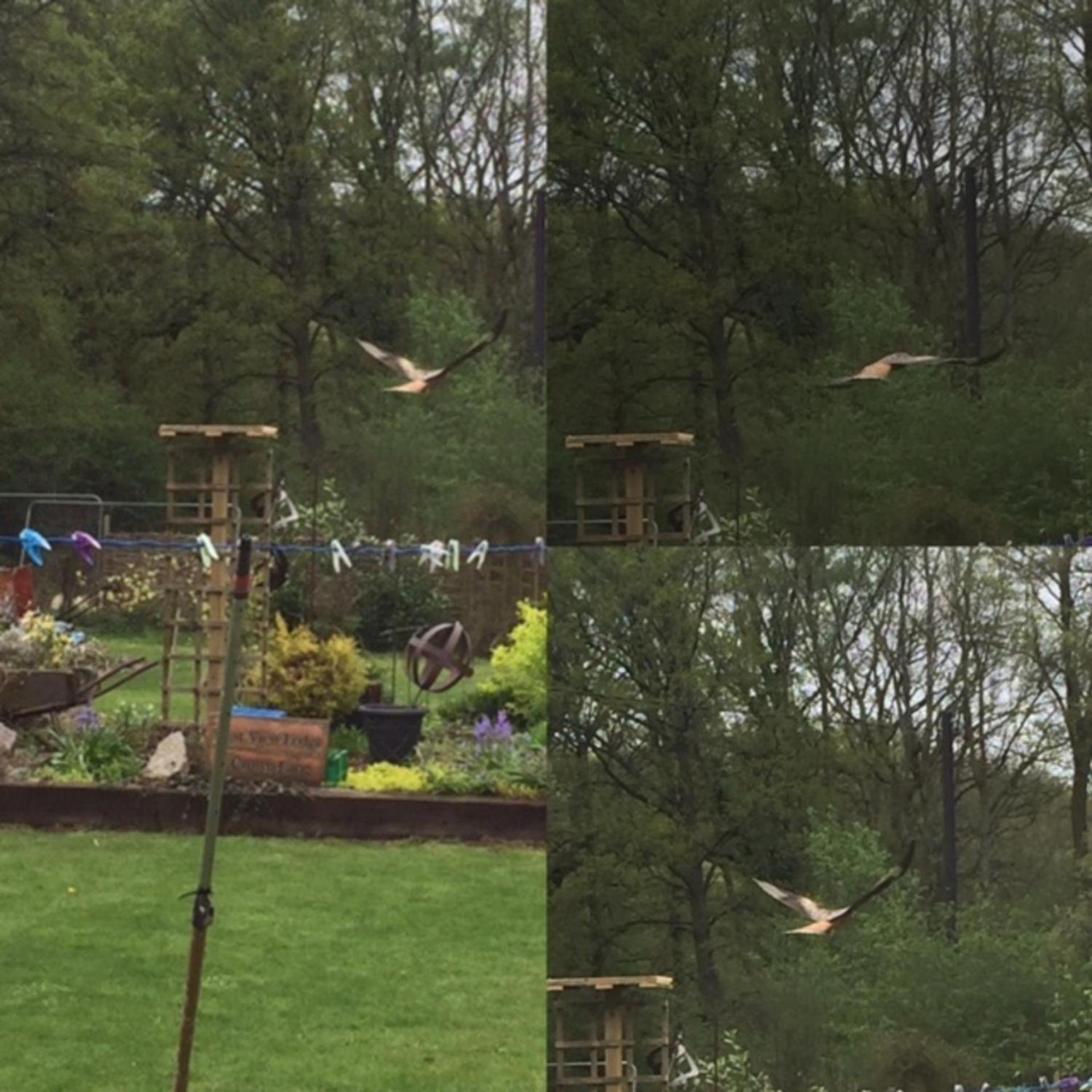 Basingstoke Vacations - West View Lodge - Property Image 8