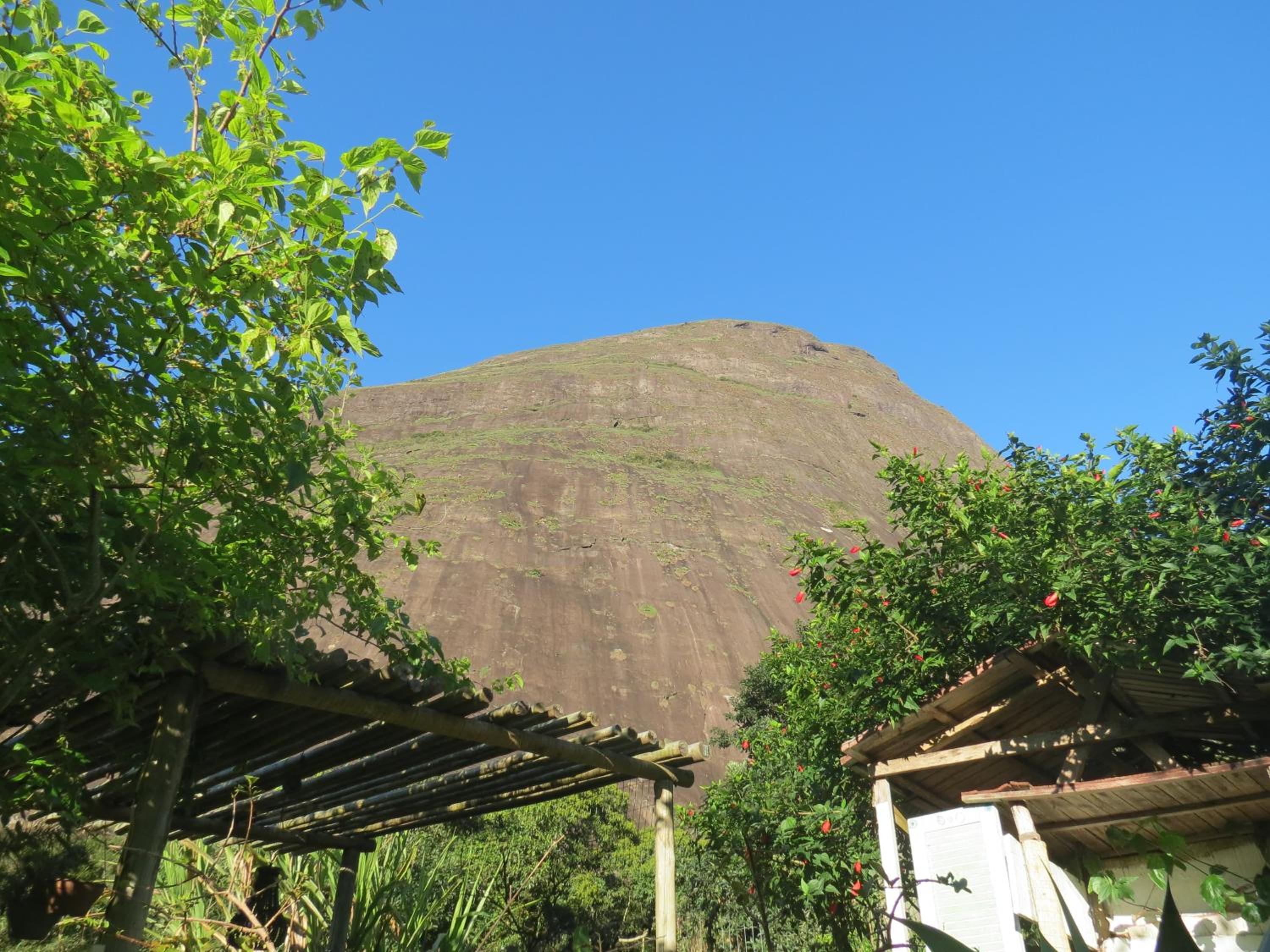 Photo 44