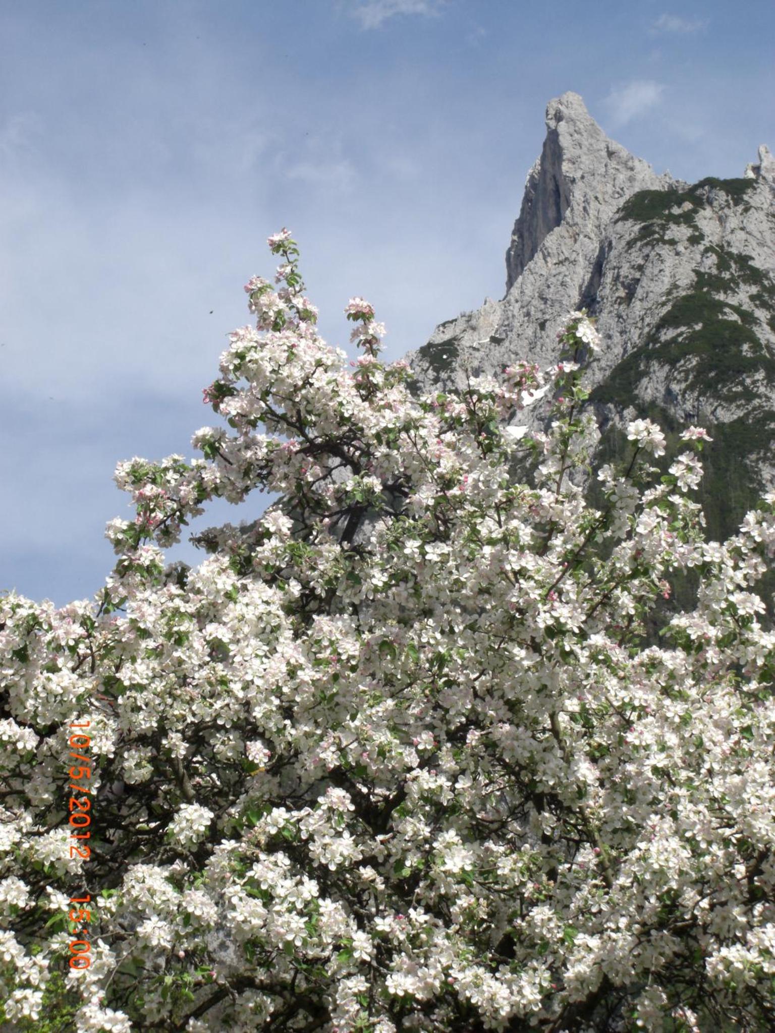 Photo 40