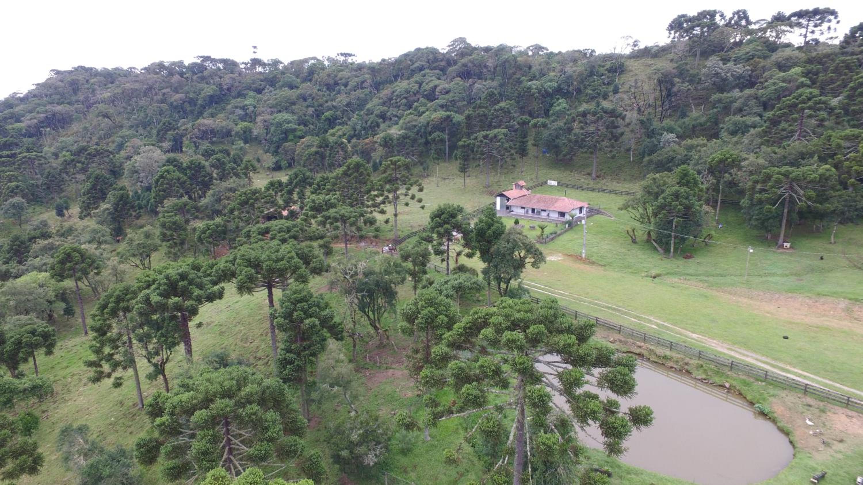 Sitio Itaimbé - Casa e Chalé - Morro da Igreja