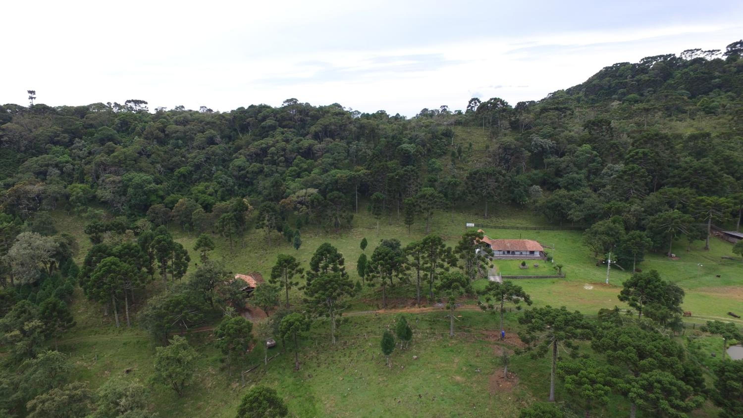 Sitio Itaimbé - Casa e Chalé - Morro da Igreja