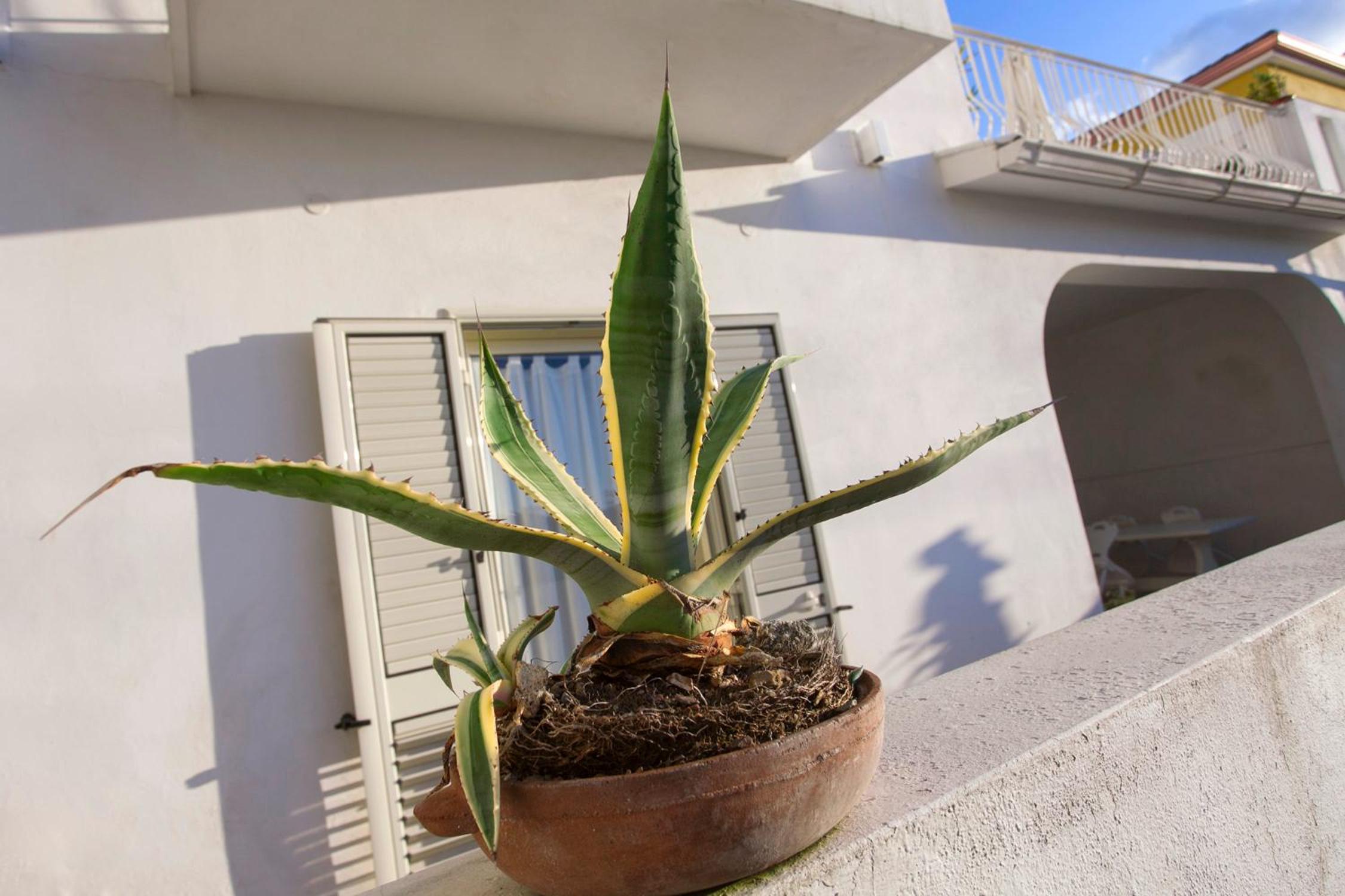 Villino Erminia - Seaside Art b&b photo 3