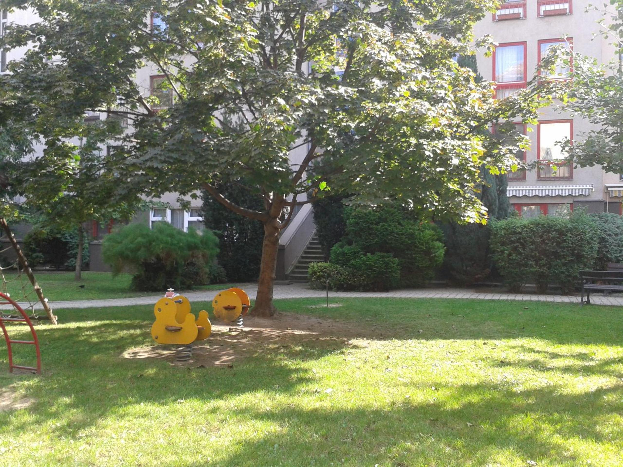 Photo 24