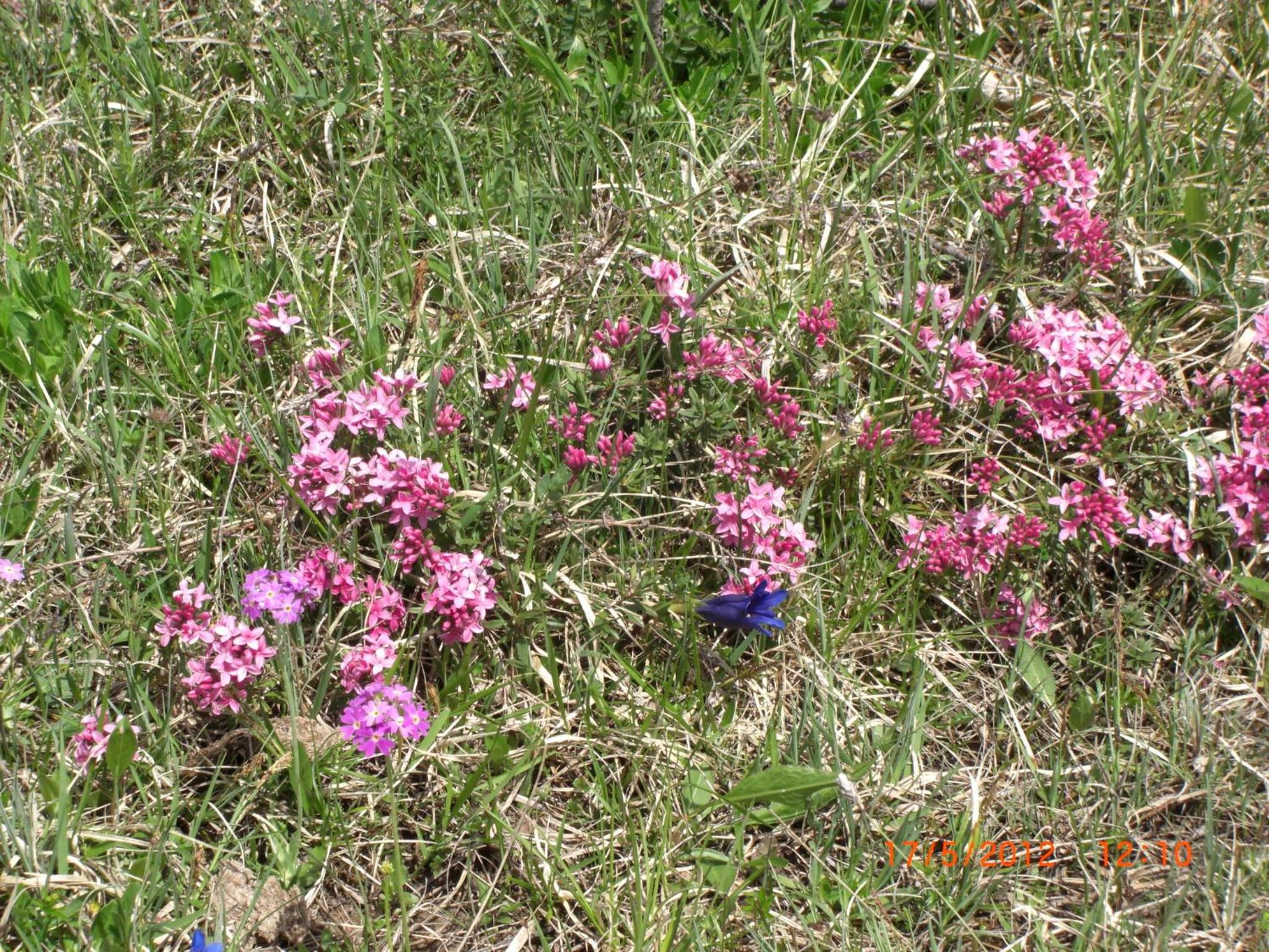Photo 45