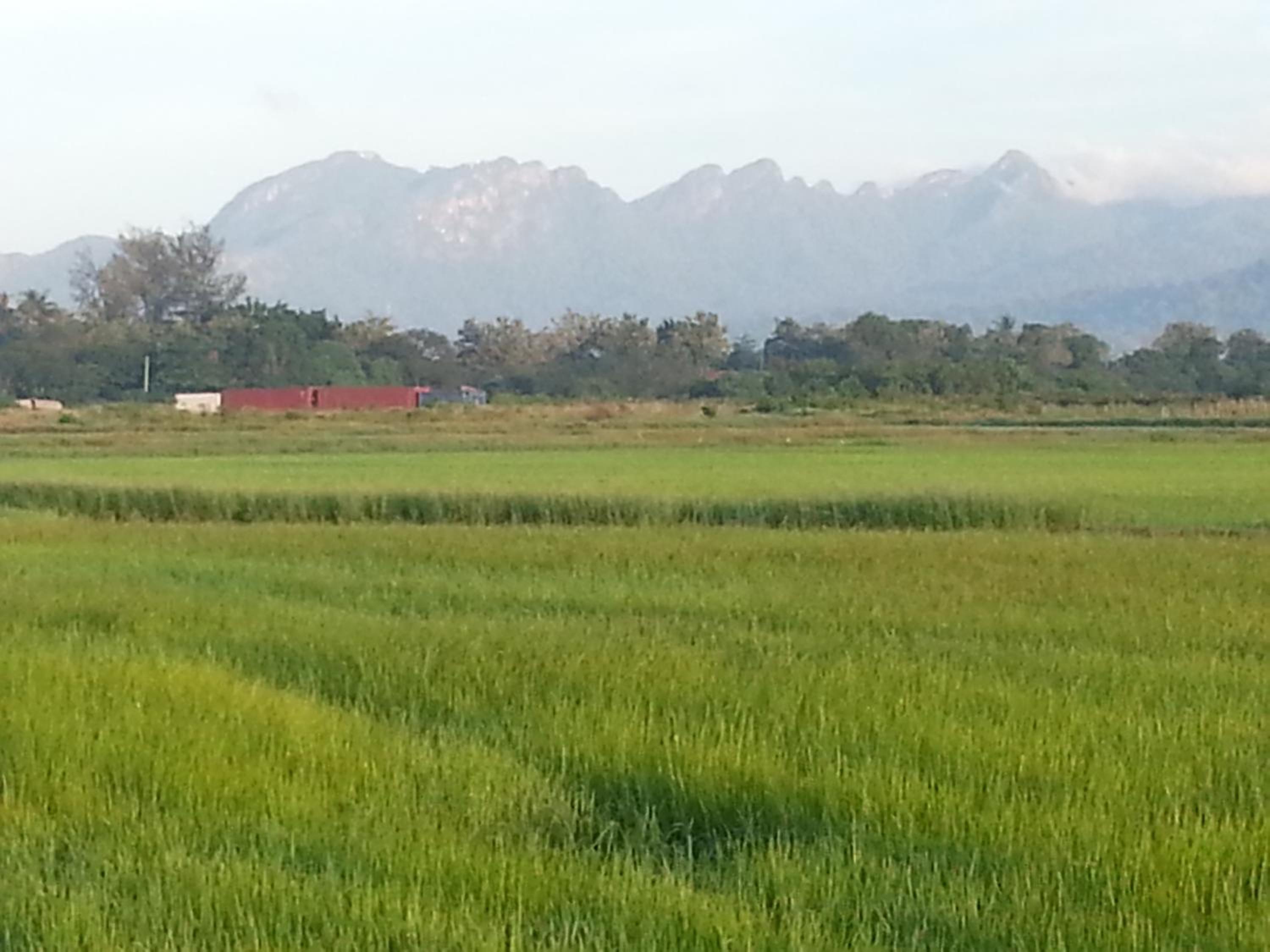 MYHome@Langkawi