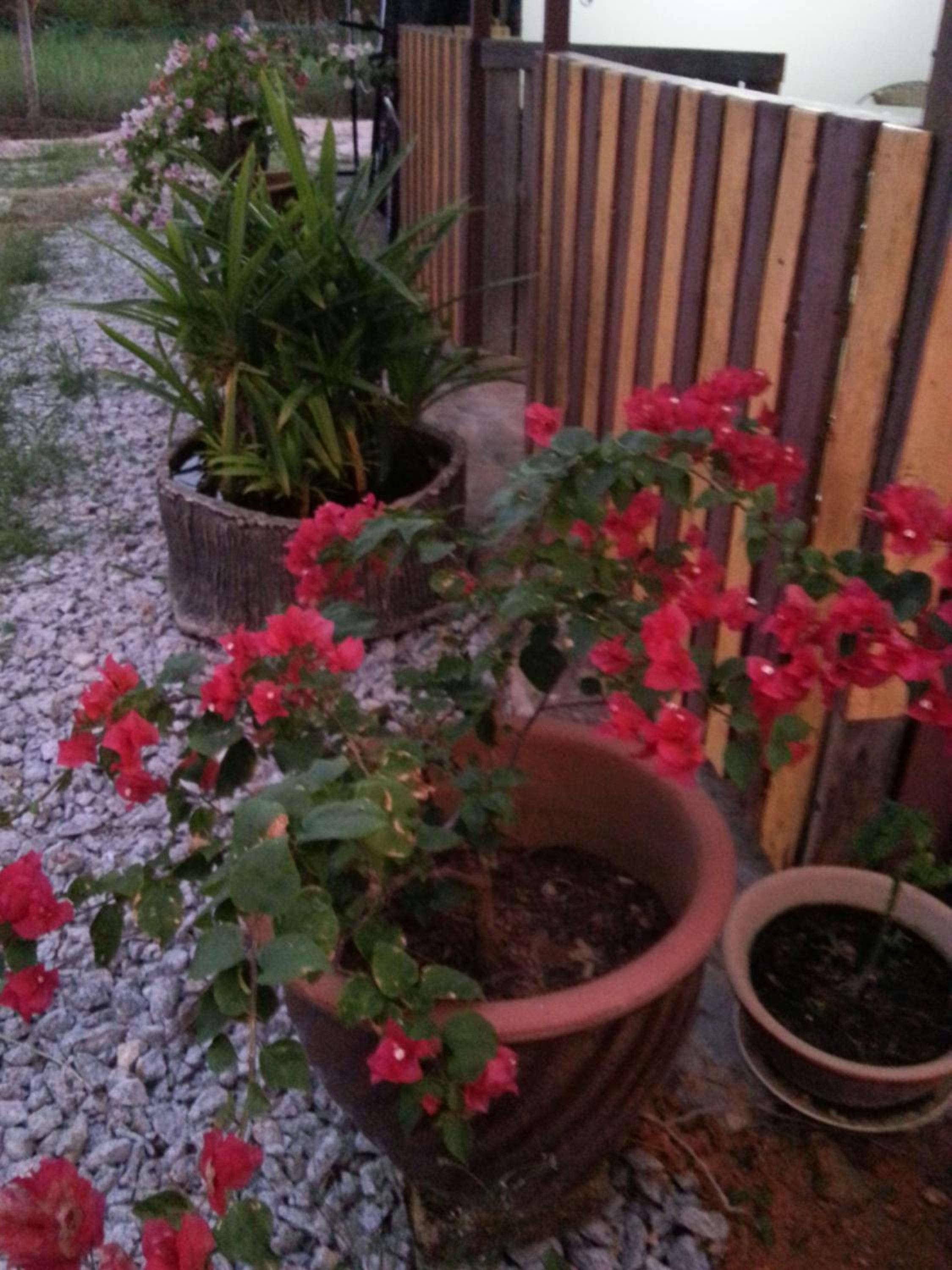 MYHome@Langkawi