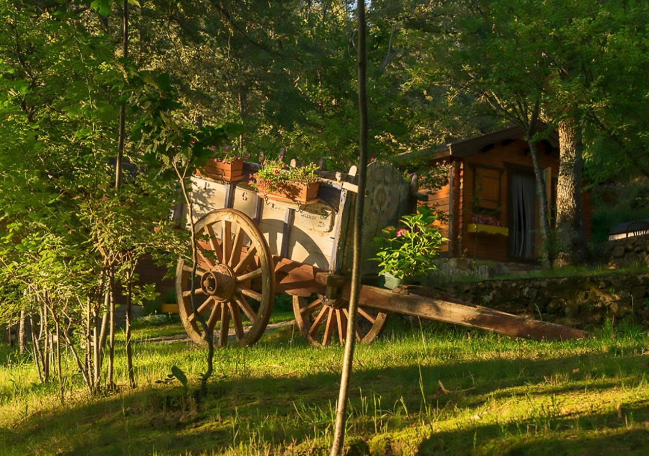 Cabañas de Madera Sanabria