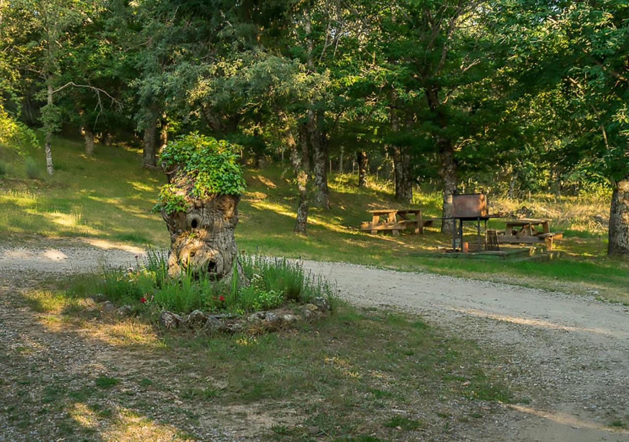 Cabañas de Madera Sanabria