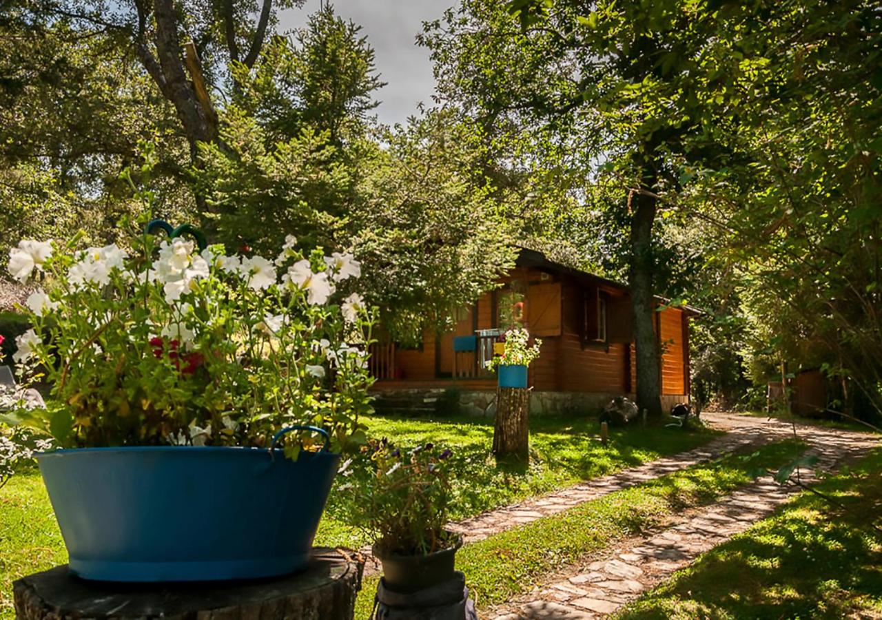 Cabañas de Madera Sanabria