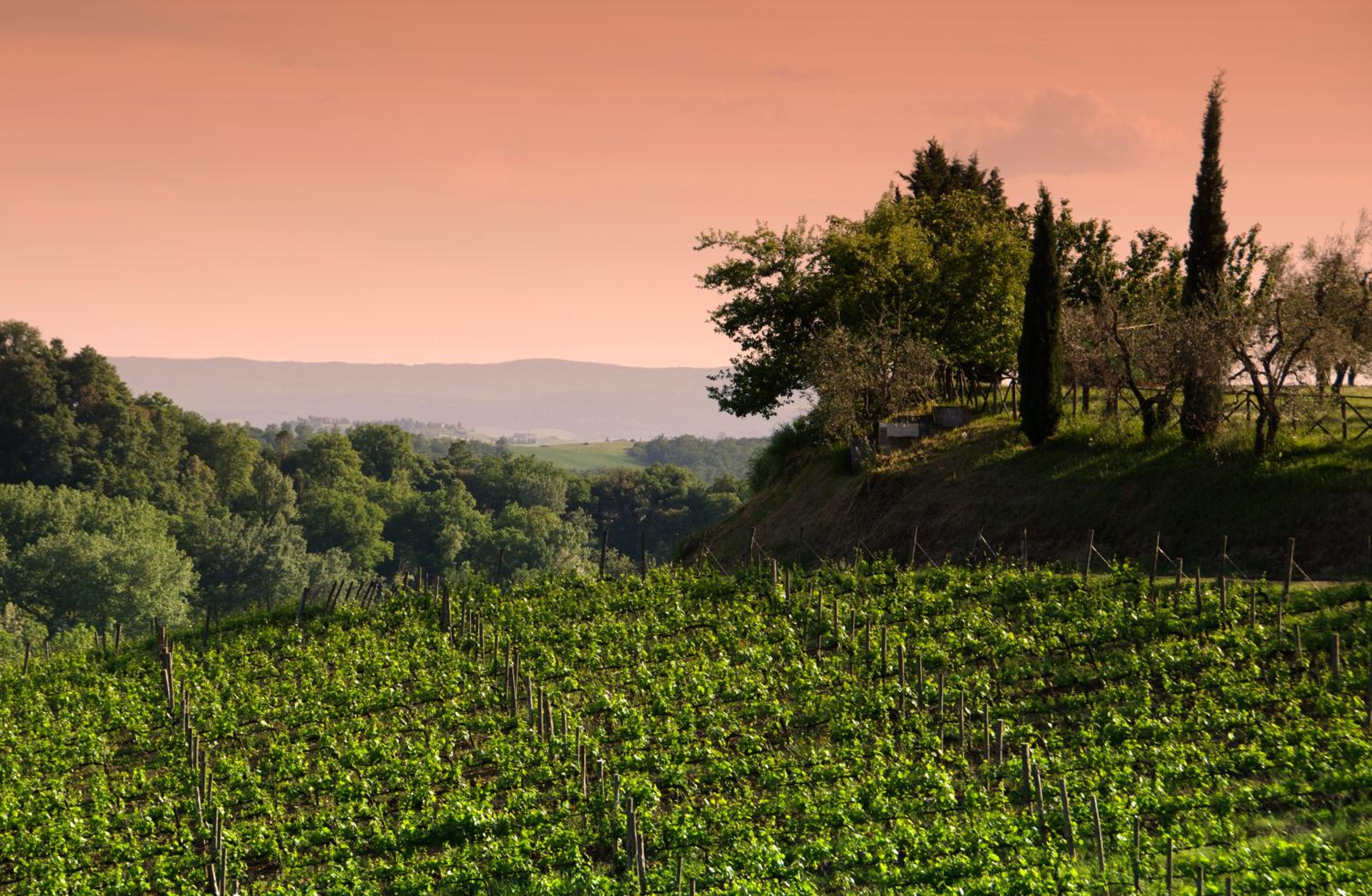 Agriturismo Poggio Bonelli
