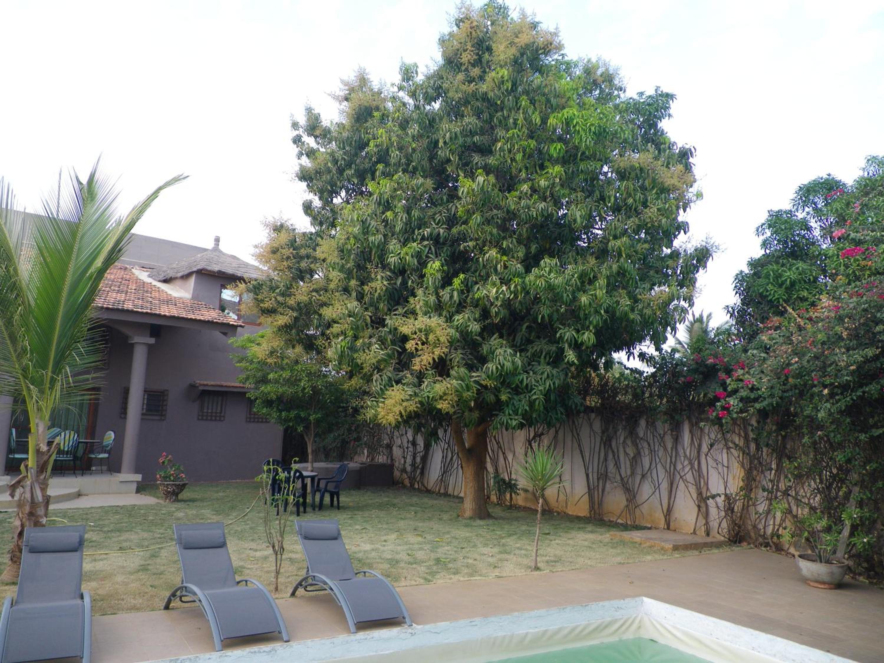 Photo 8