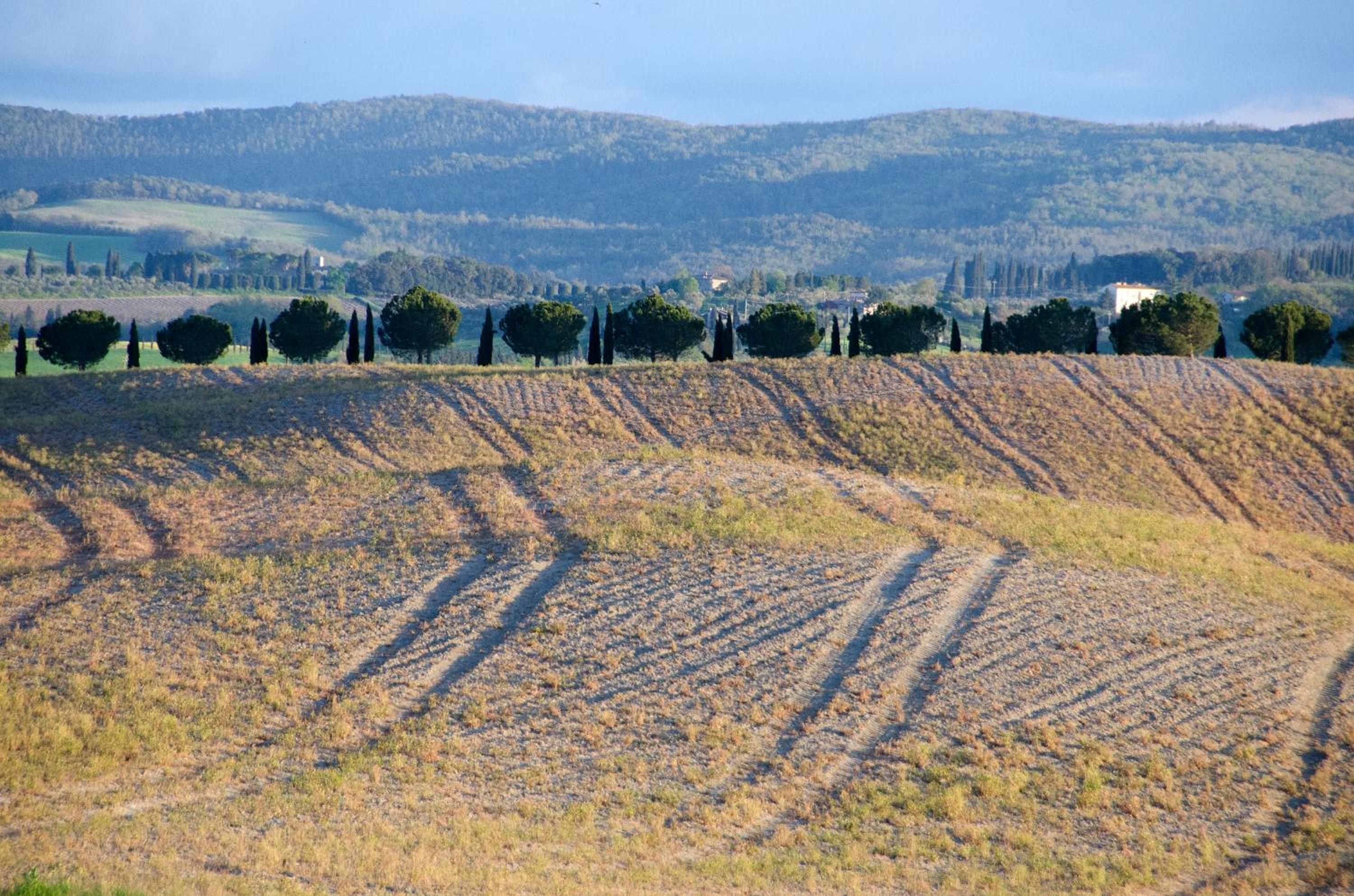 Agriturismo Poggio Bonelli