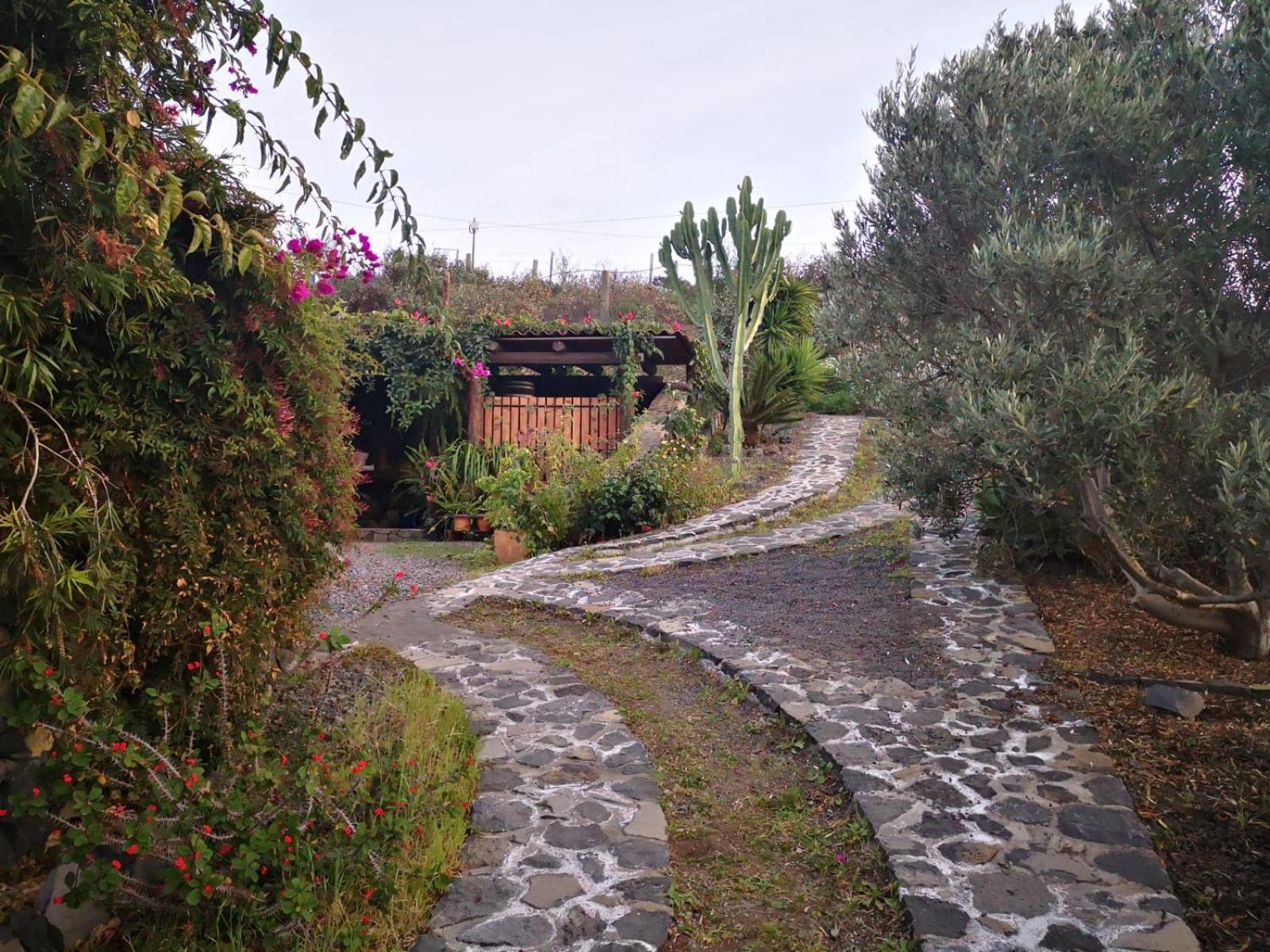 Photo 26