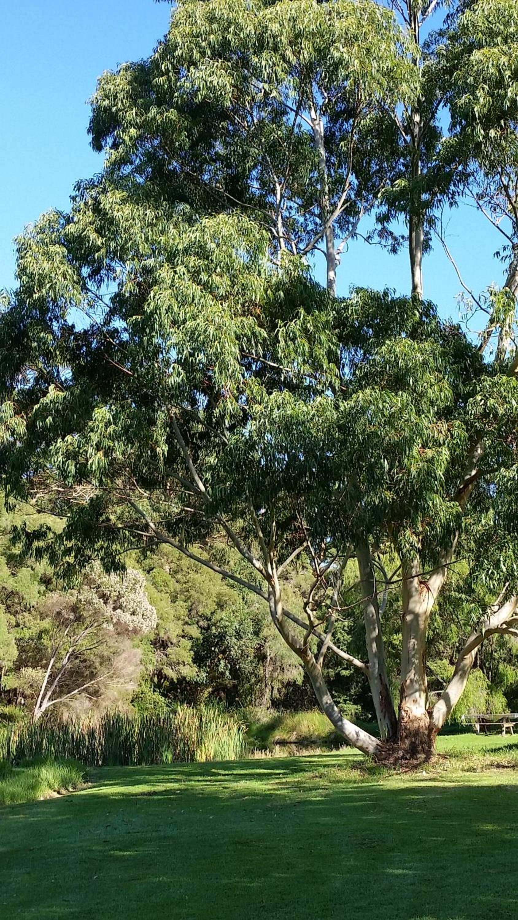Crystal Springs Holiday Accommodation