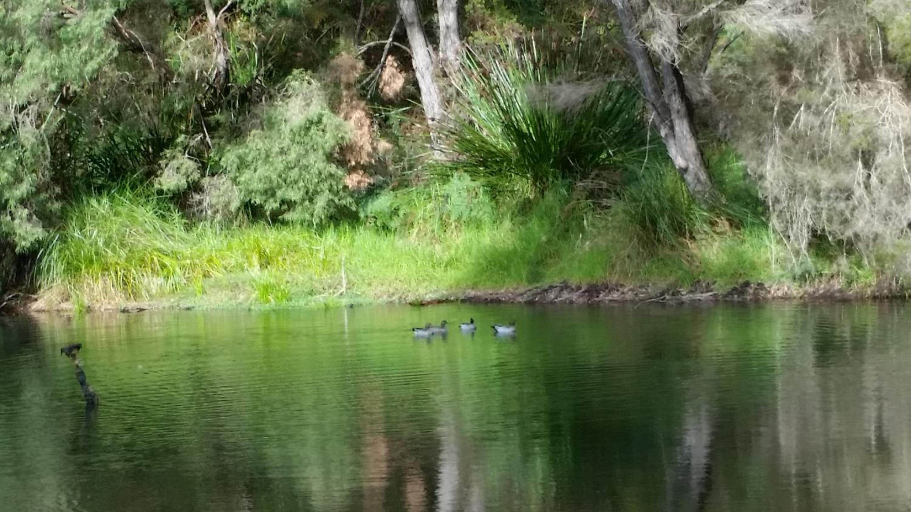 Crystal Springs Holiday Accommodation