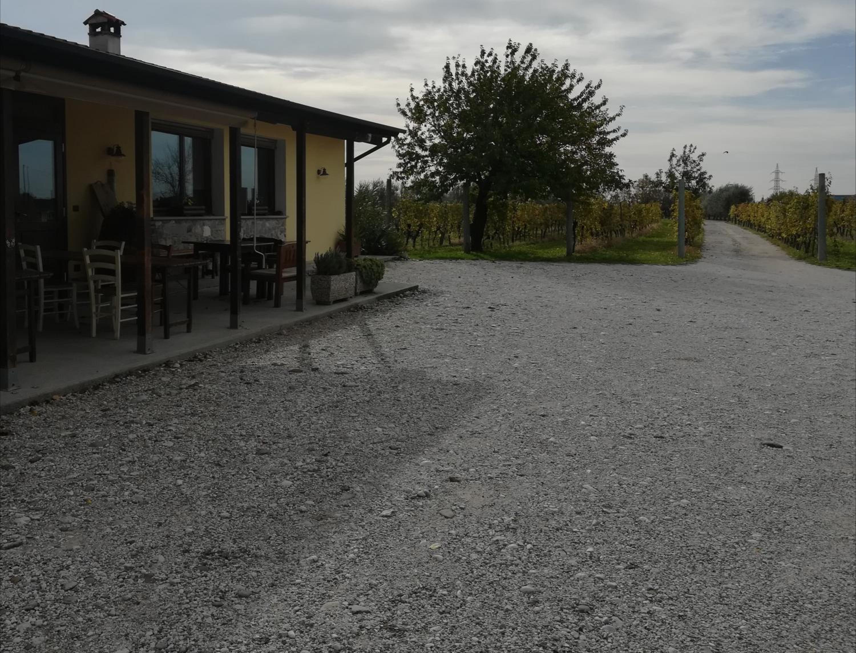 Agriturismo "La di Buiat photo 4