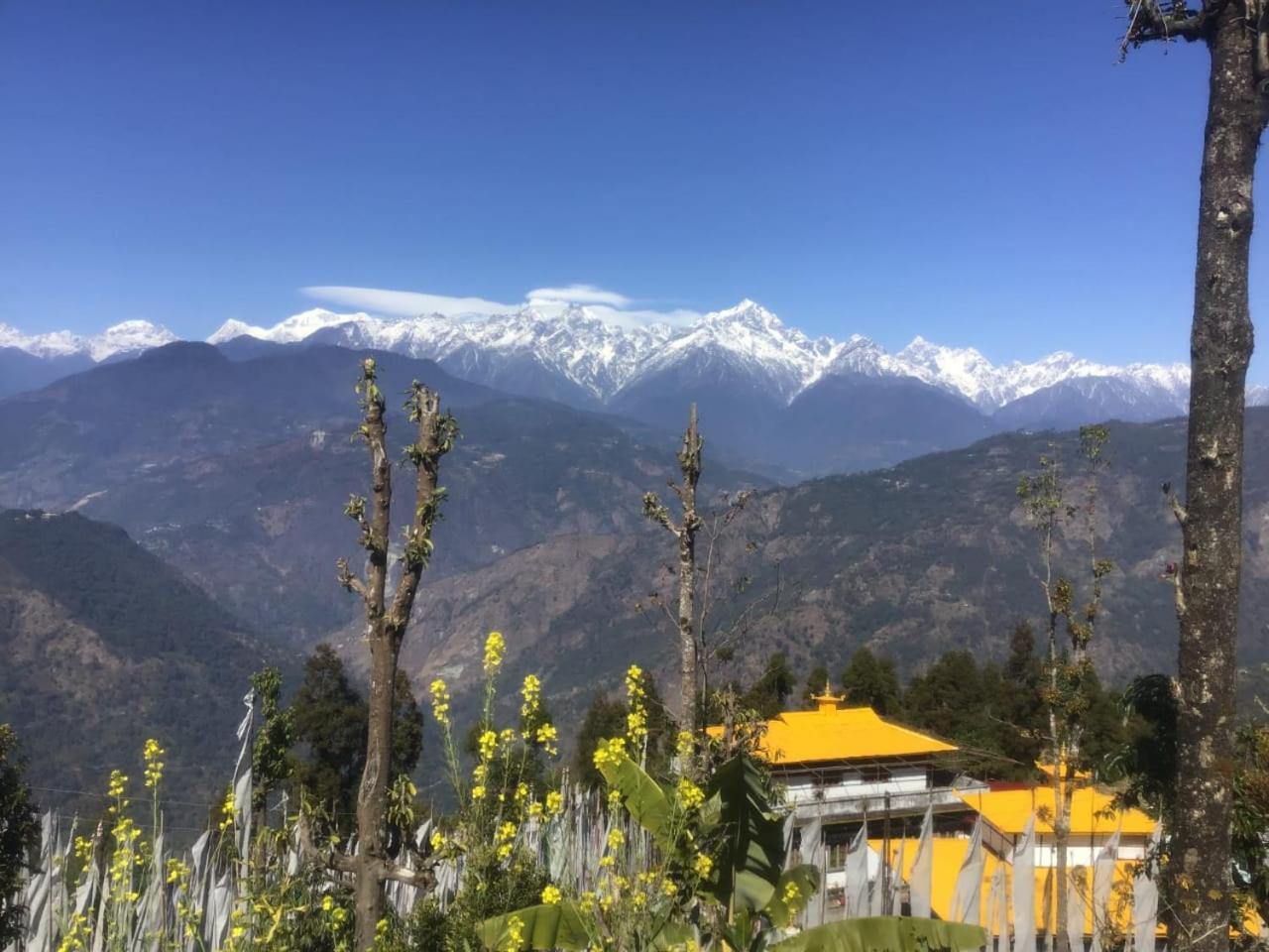 Soshing Homestay view 3