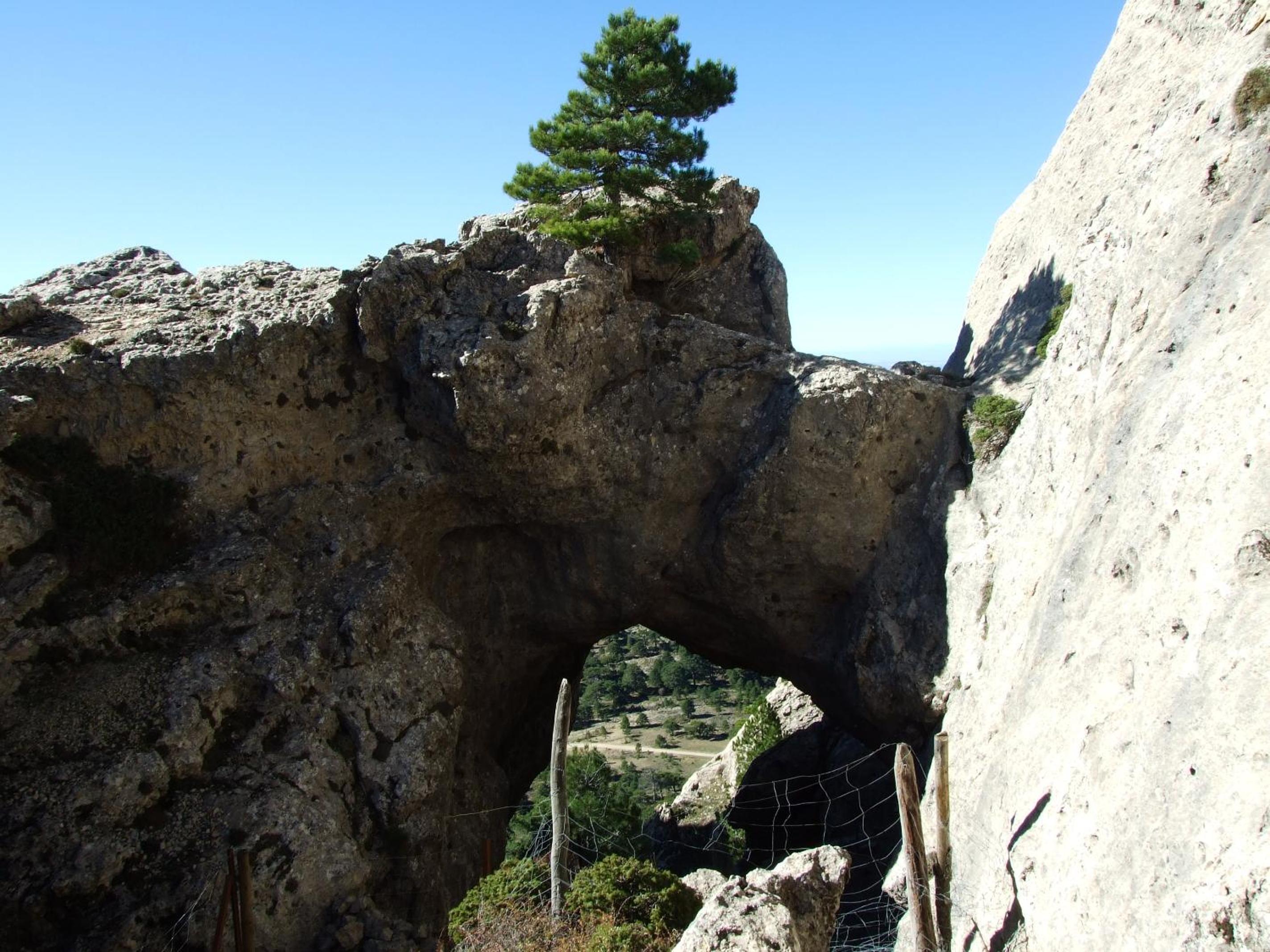 Photo 26