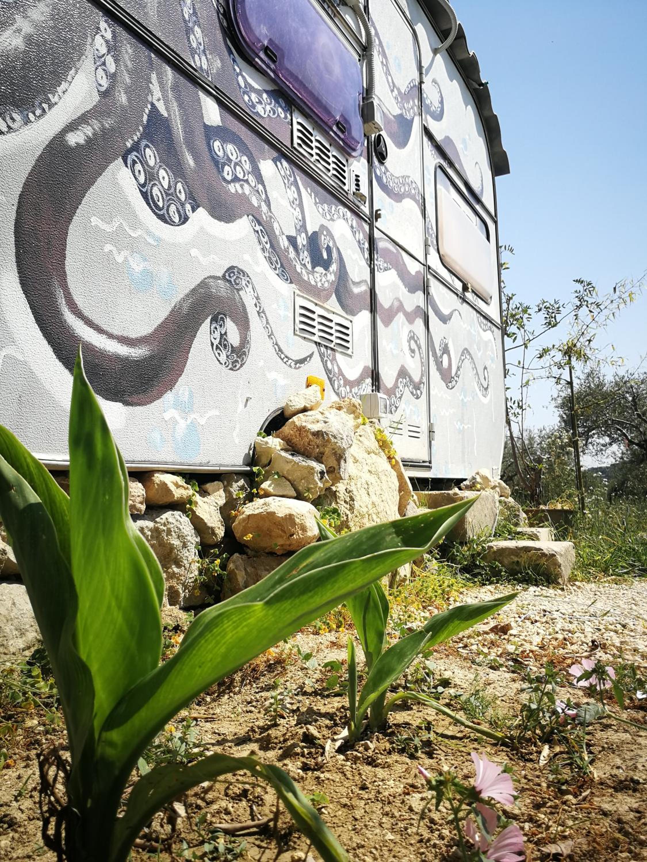 Masseria Usamborgia