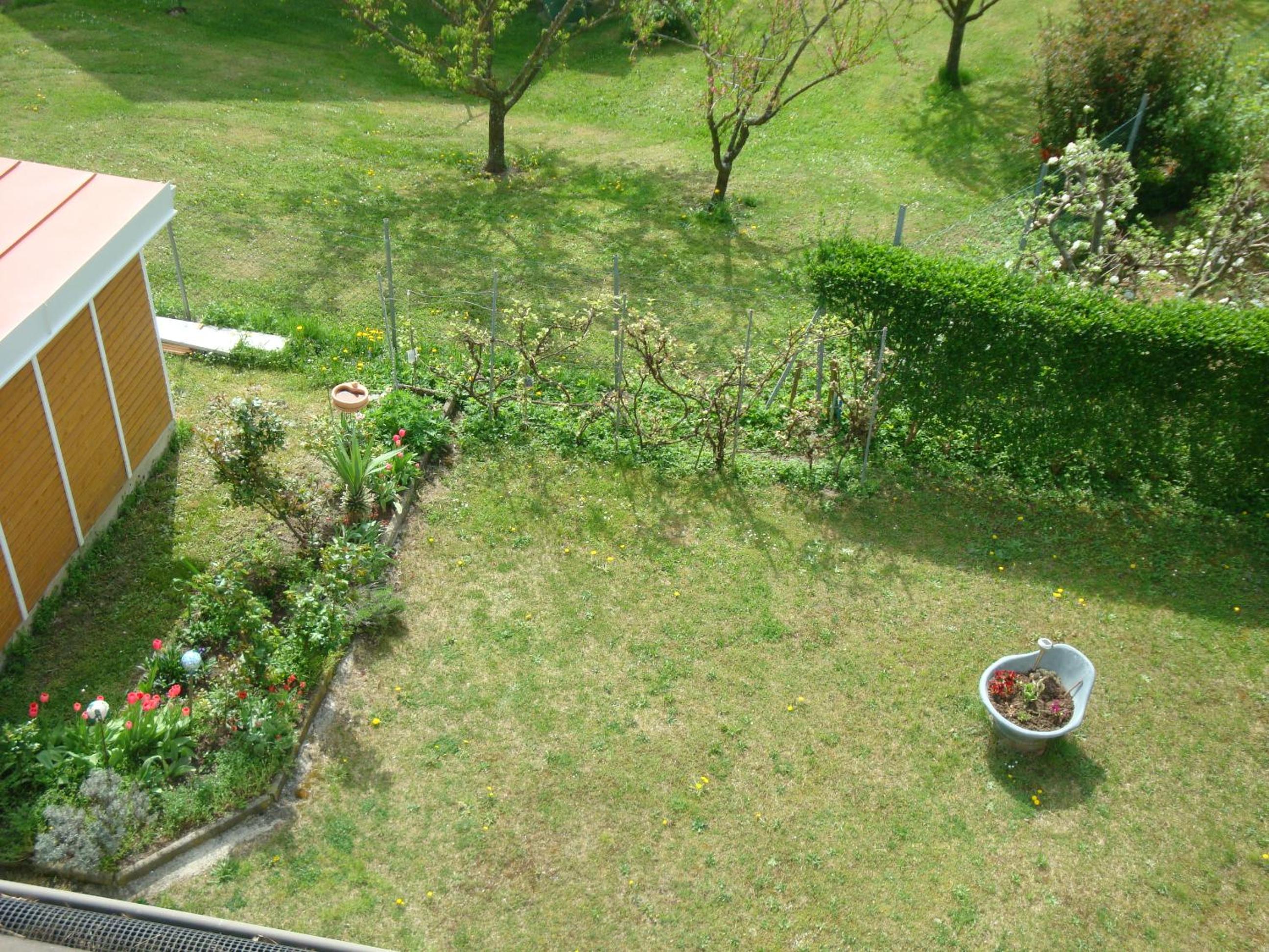 Haus Camelia