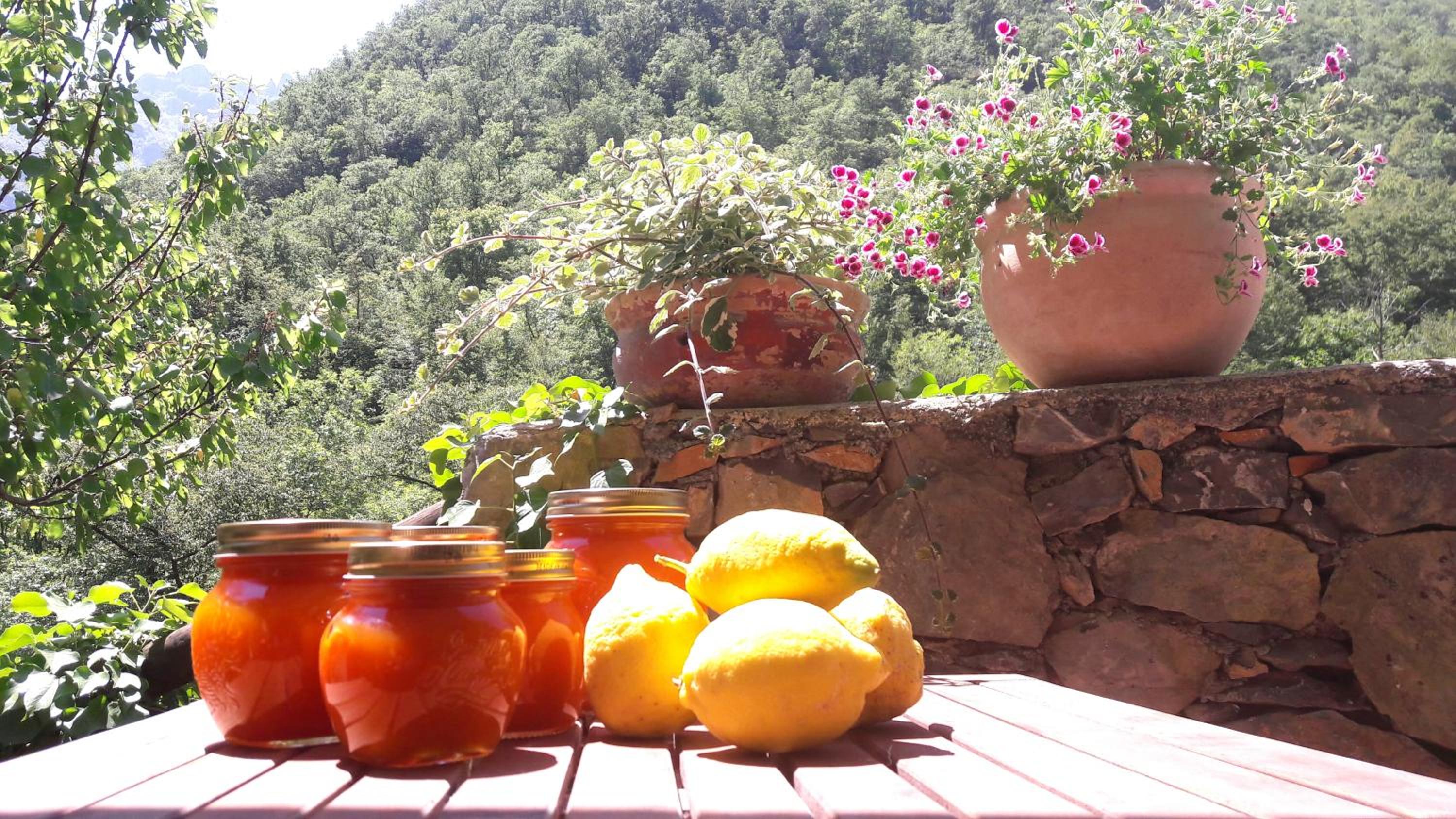 B&B Rossociliegia
