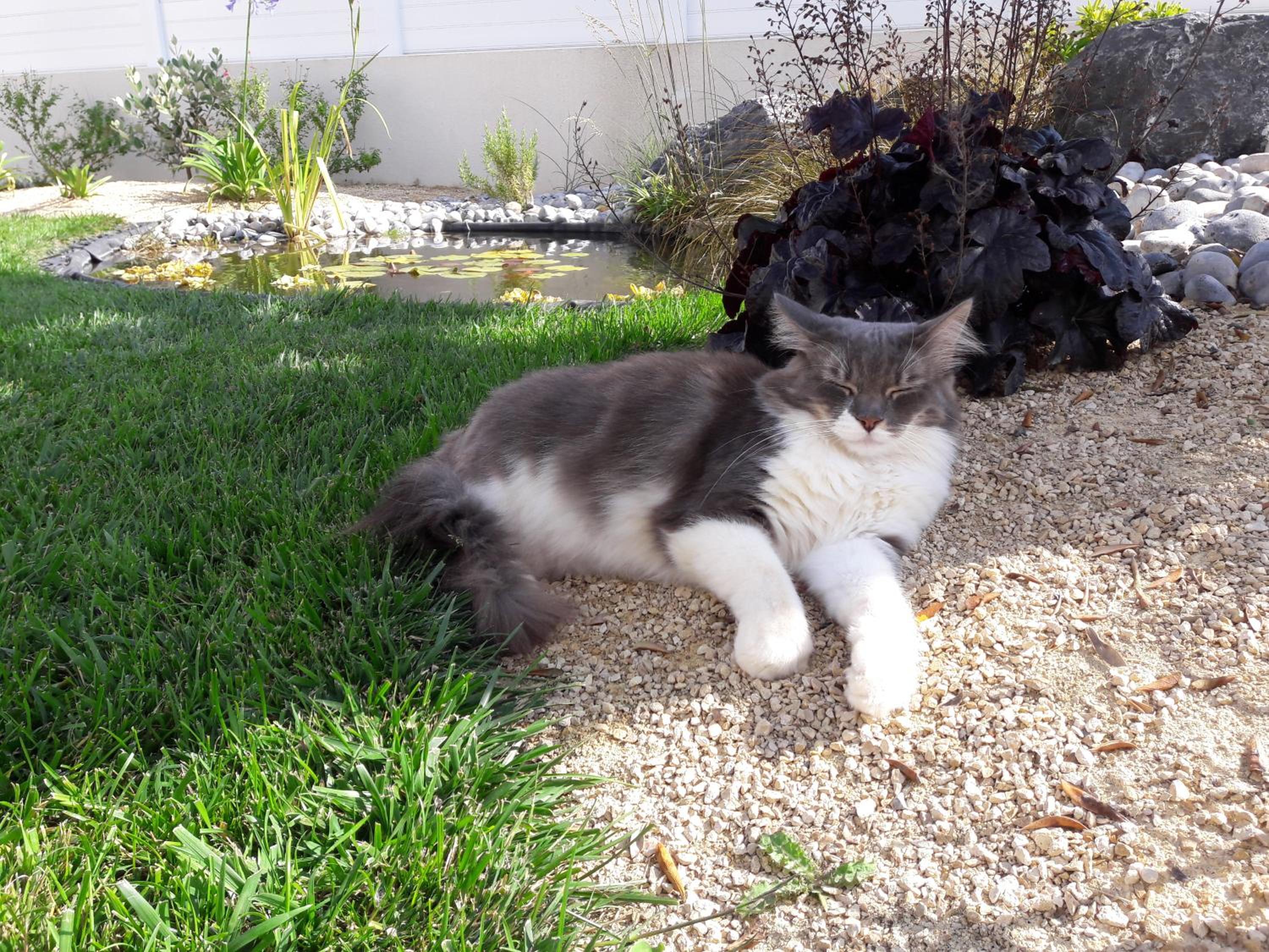 Photo 33