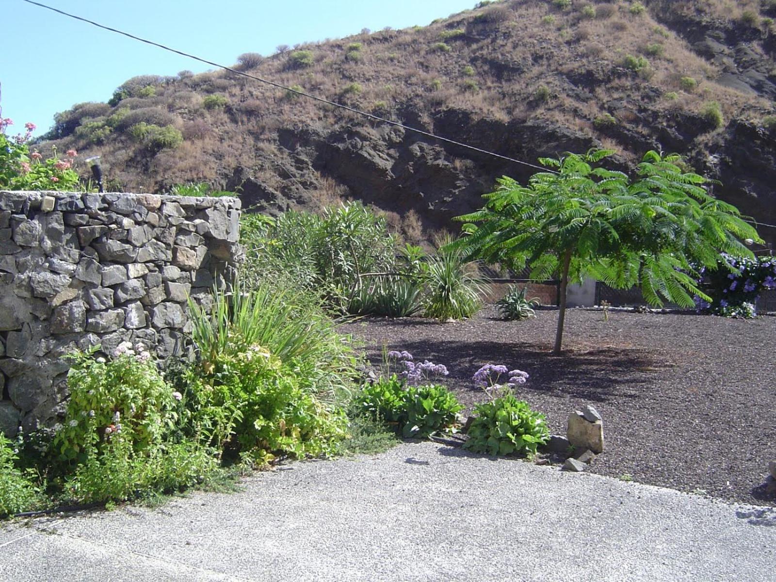 Photo 37
