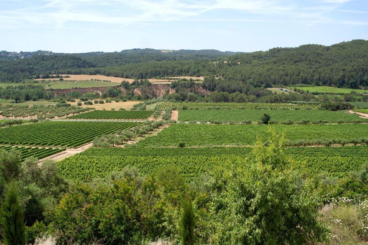 Maset de la Costa photo 2