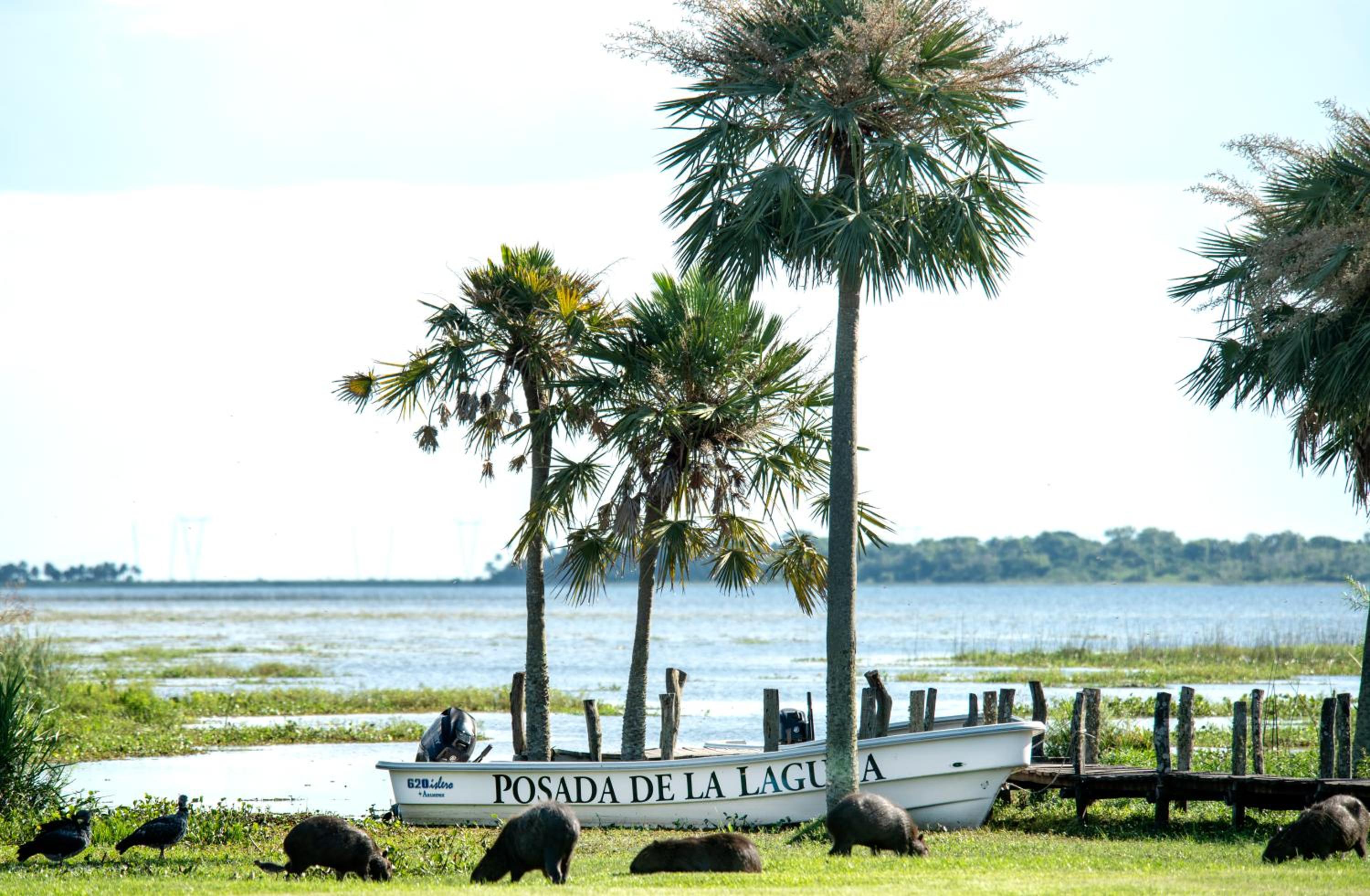 Posada de la Laguna