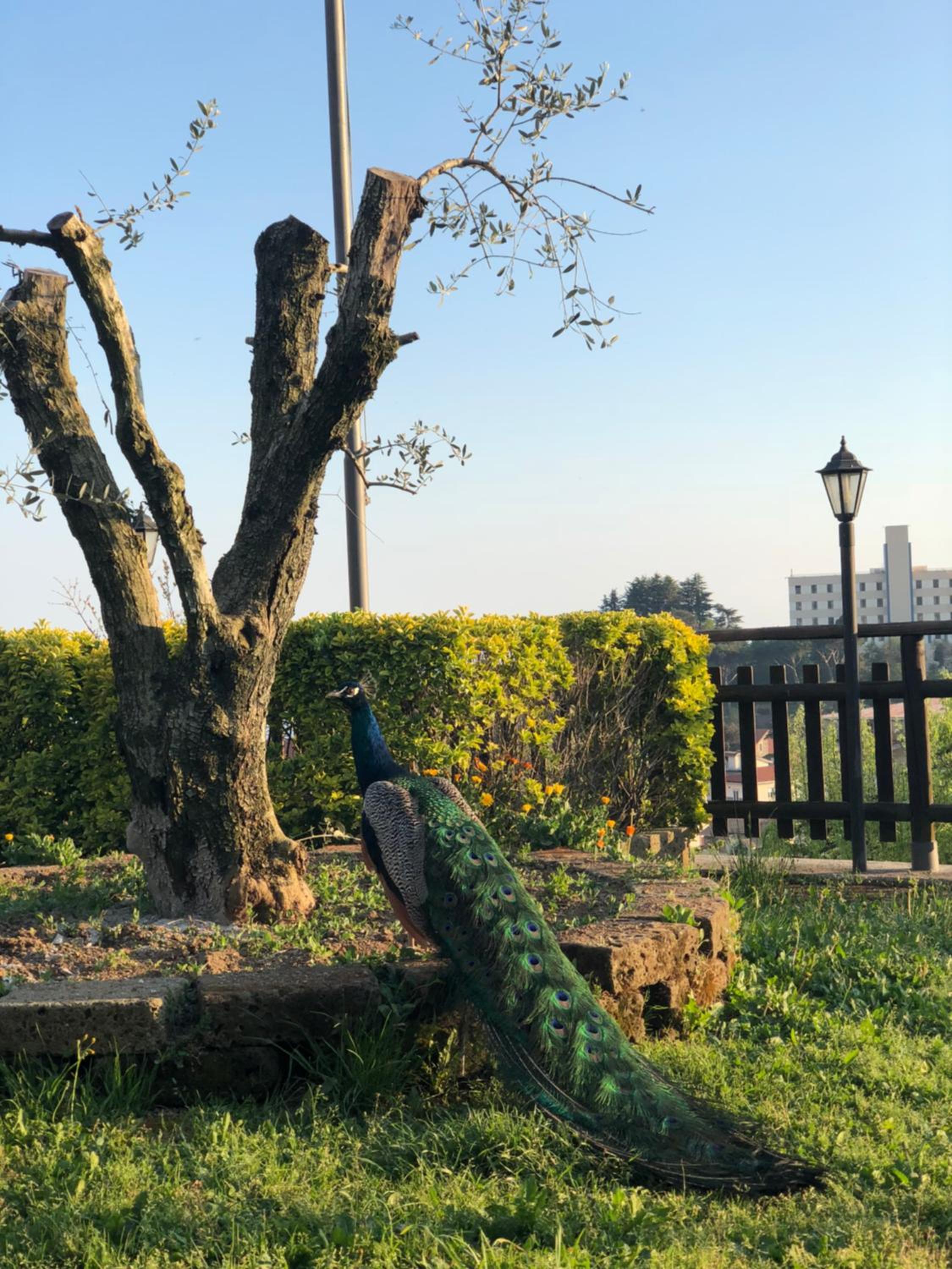 Agriturismo La Baita