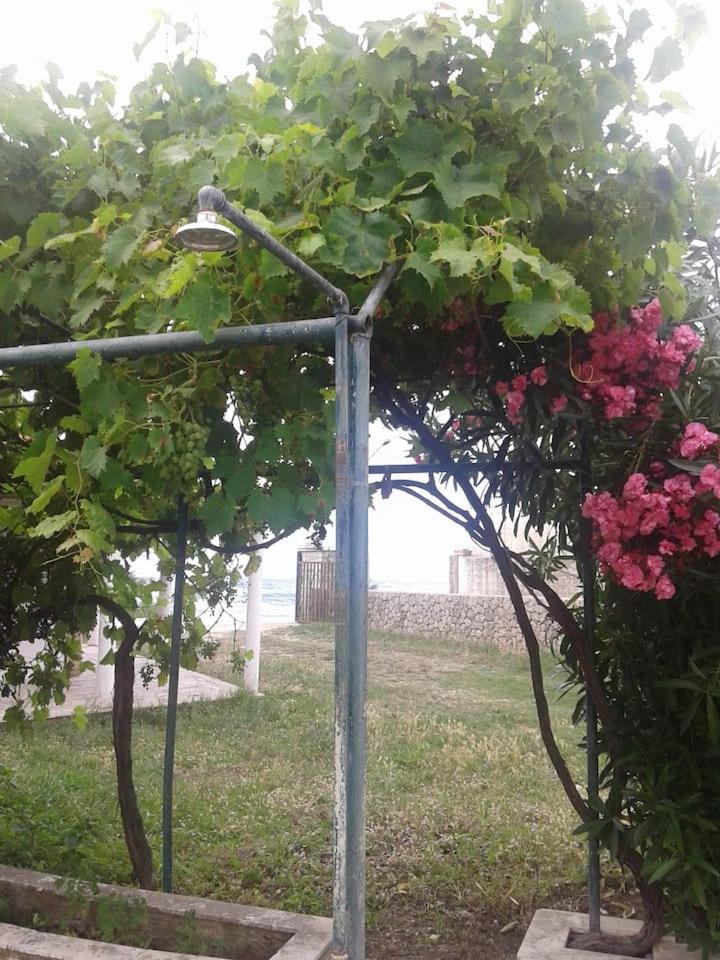 Photo 45