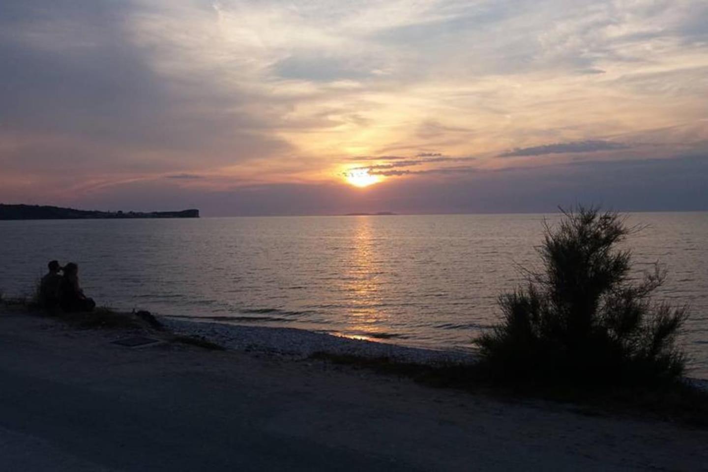 Photo 46