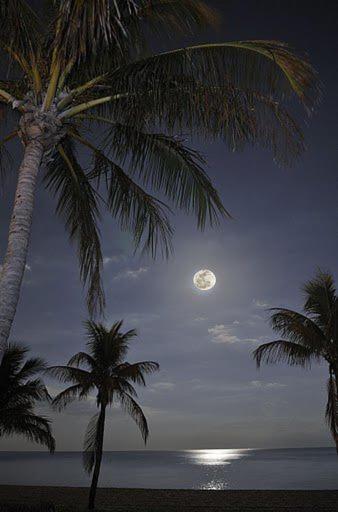 Photo 34
