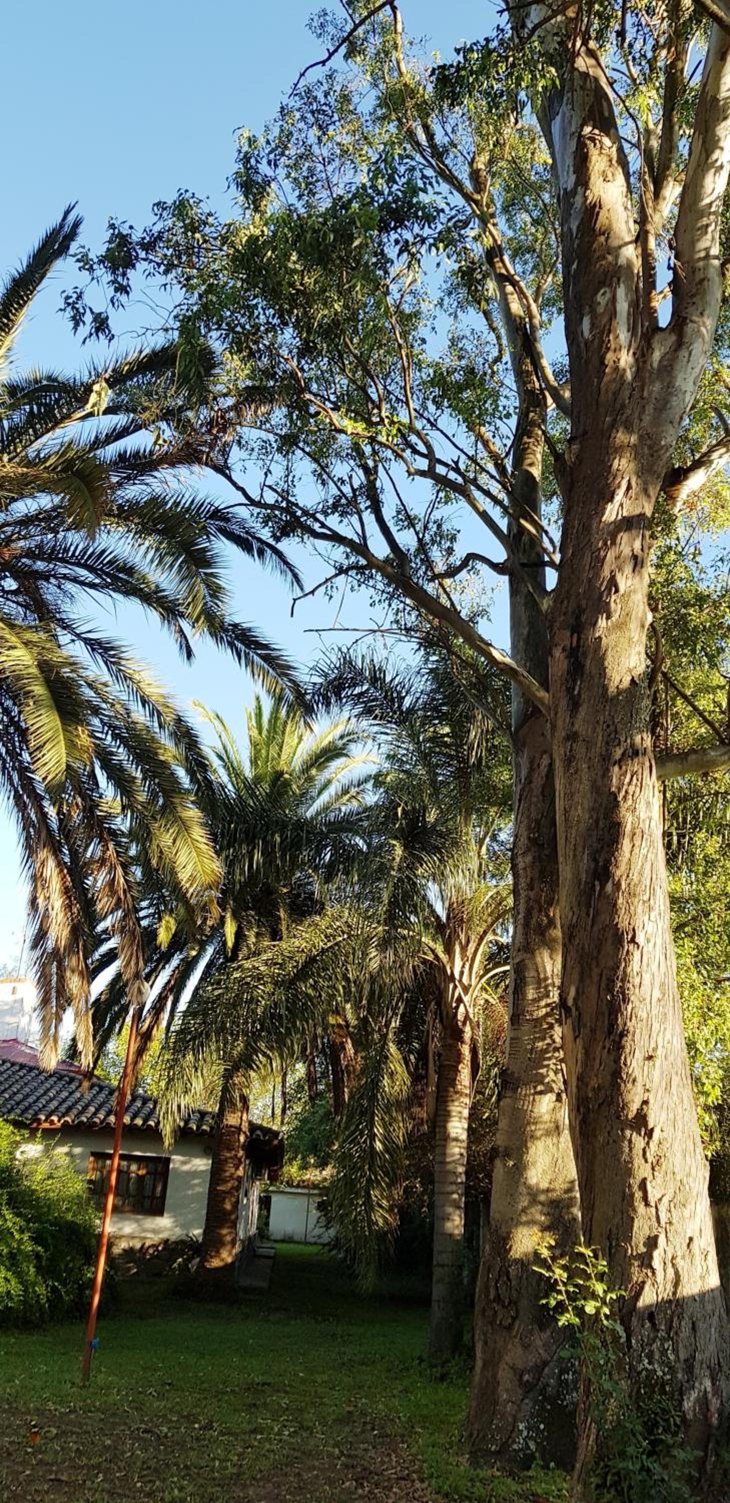Posada El Prado