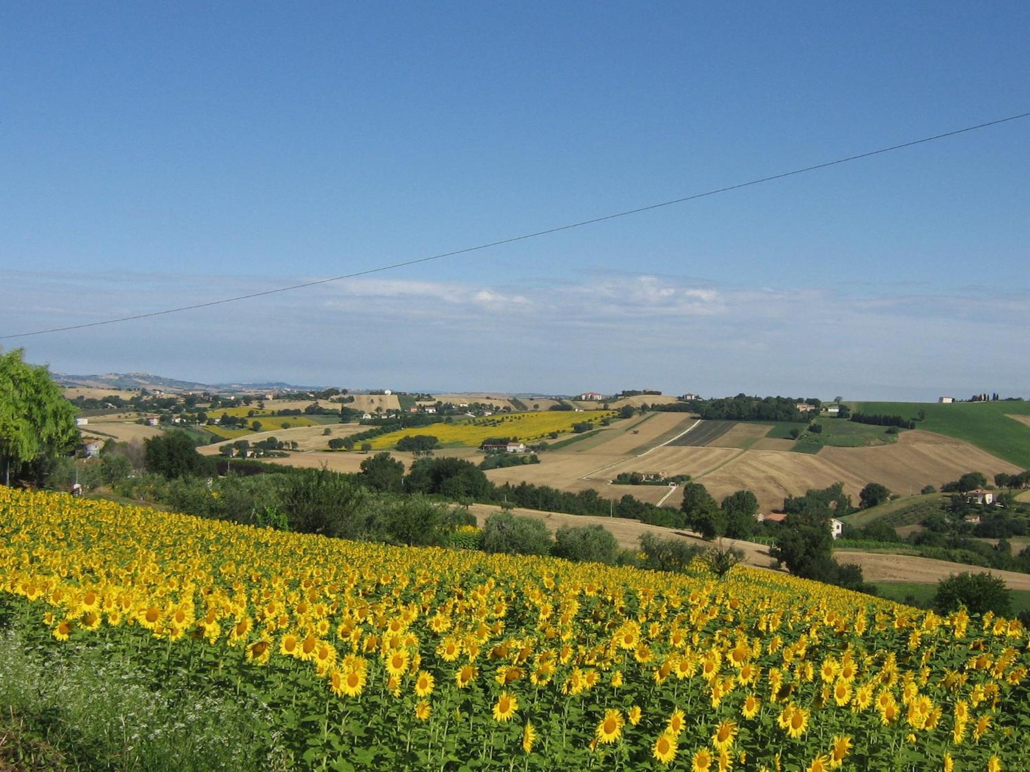 Il Giardino Degli Ulivi