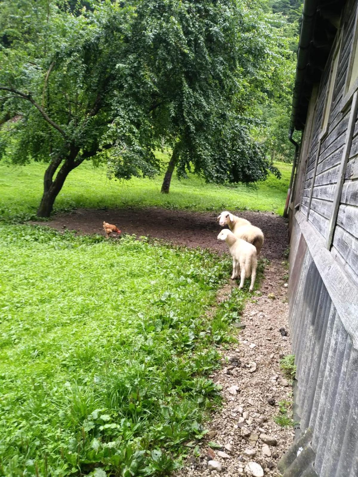 Photo 30