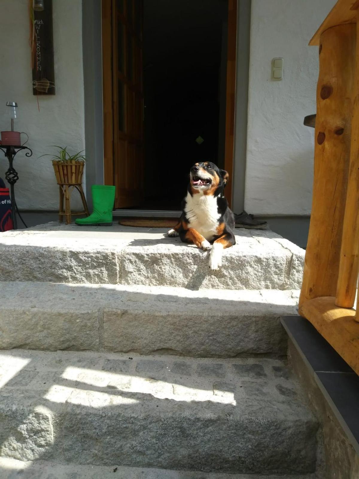 Photo 34