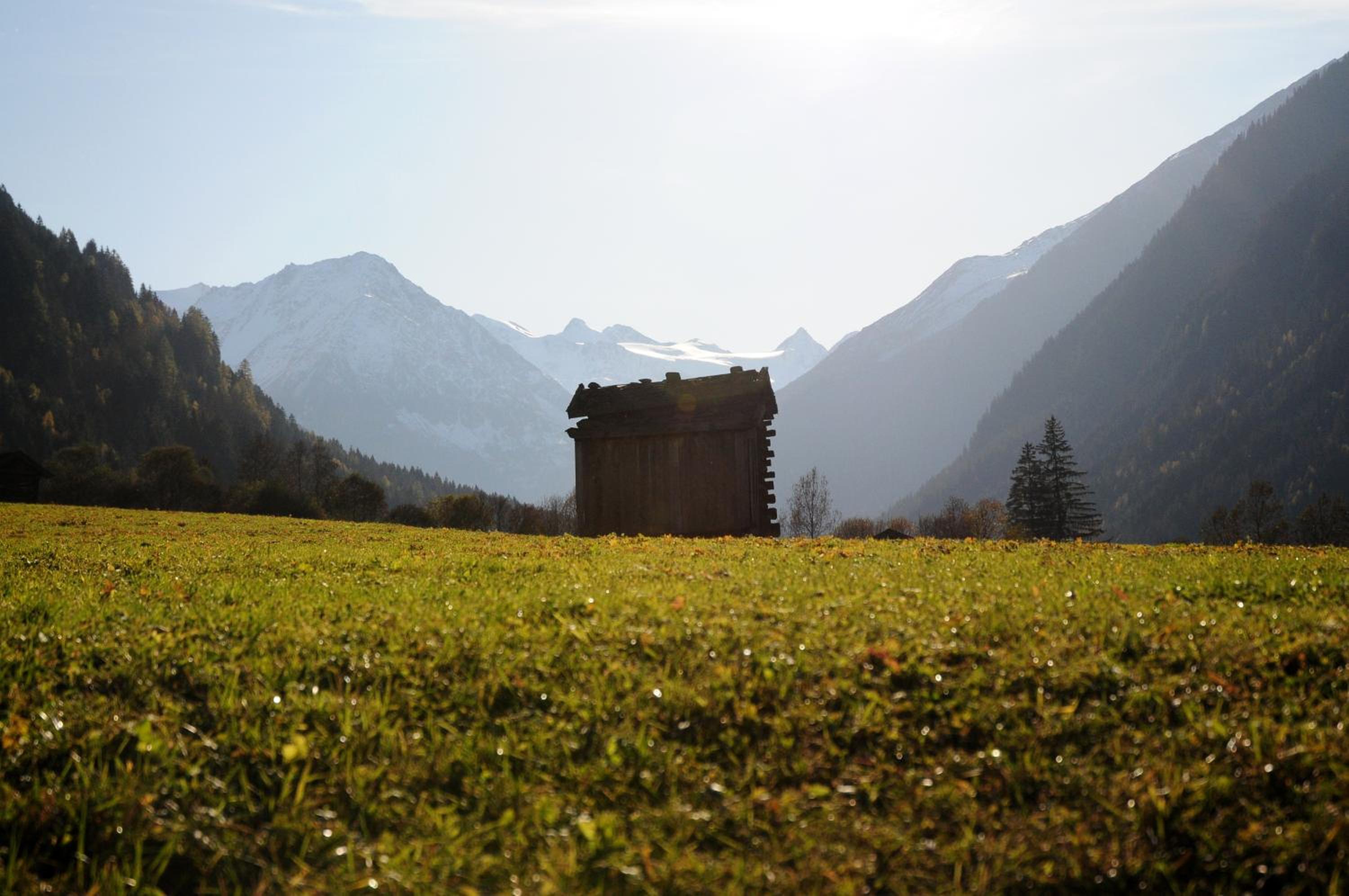 Ferienhaus Marian