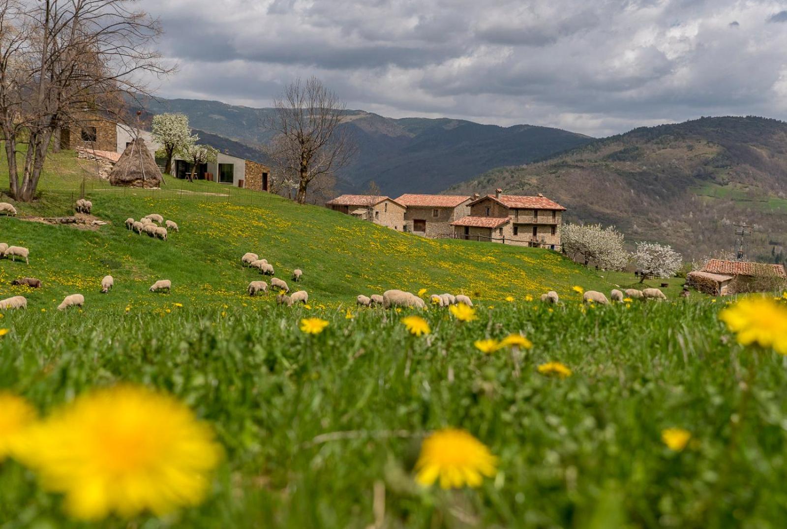 Can Galló view 2