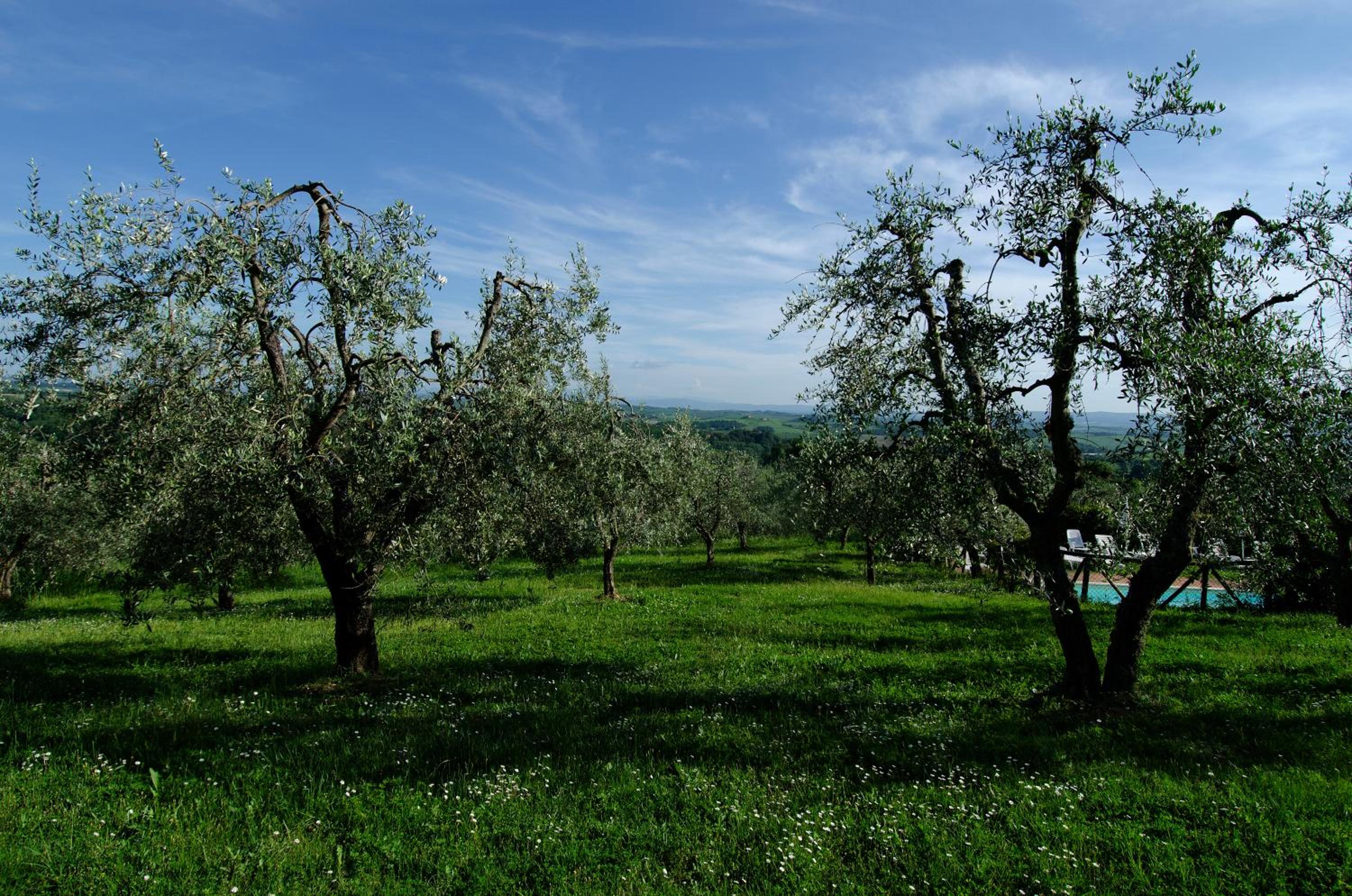 Agriturismo Poggio Bonelli