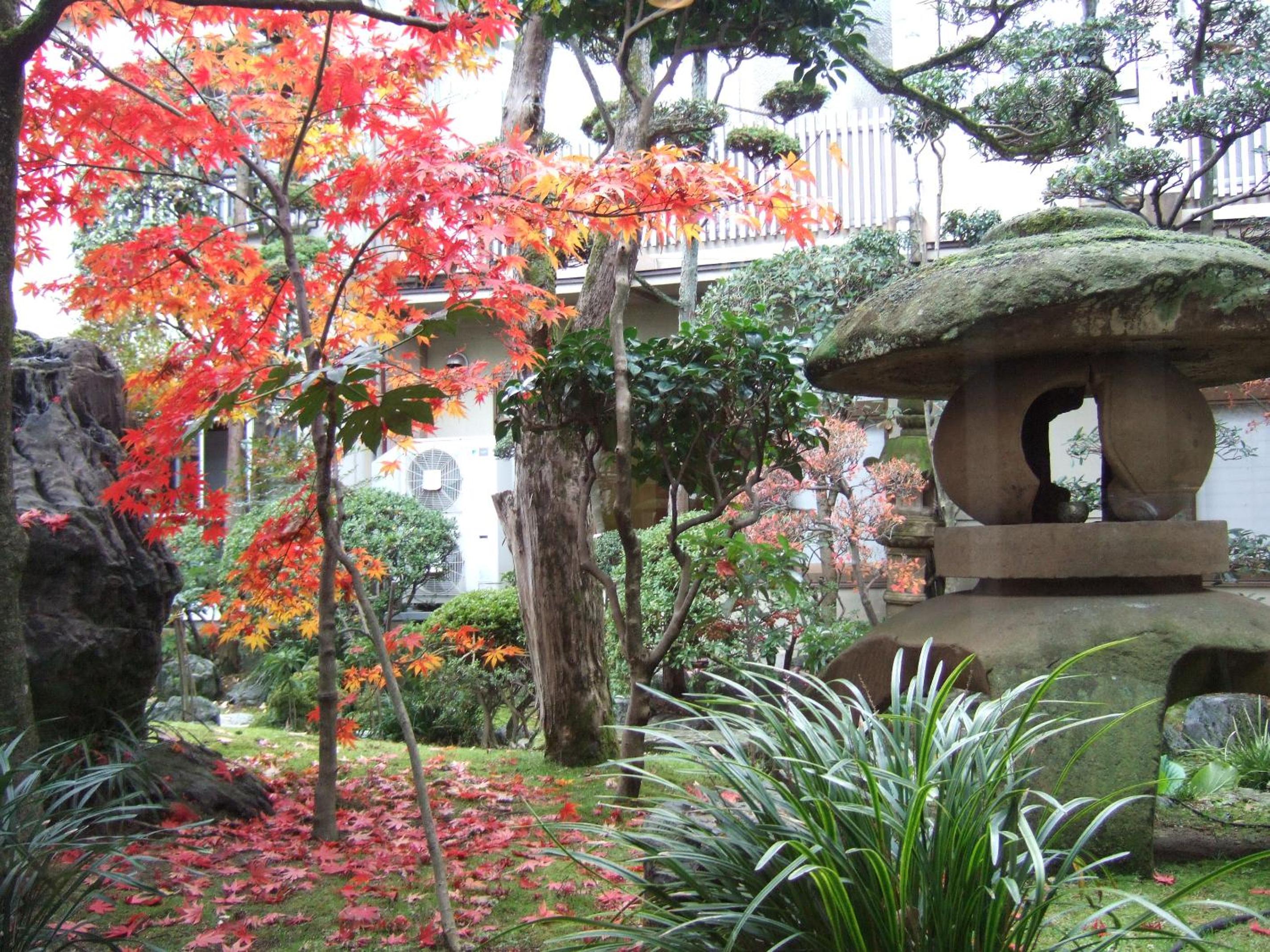 Ryokan Marumo